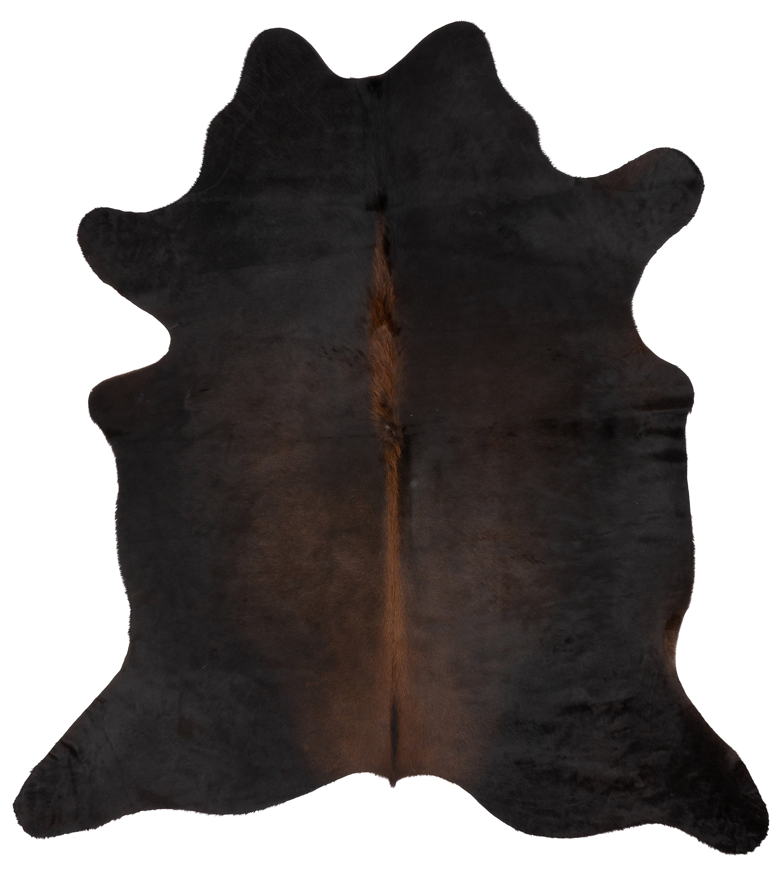 Unieke donkerbruine koeienhuid K589 met afmetingen ca. 180 x 160 cm, perfect voor interieurdecoratie.