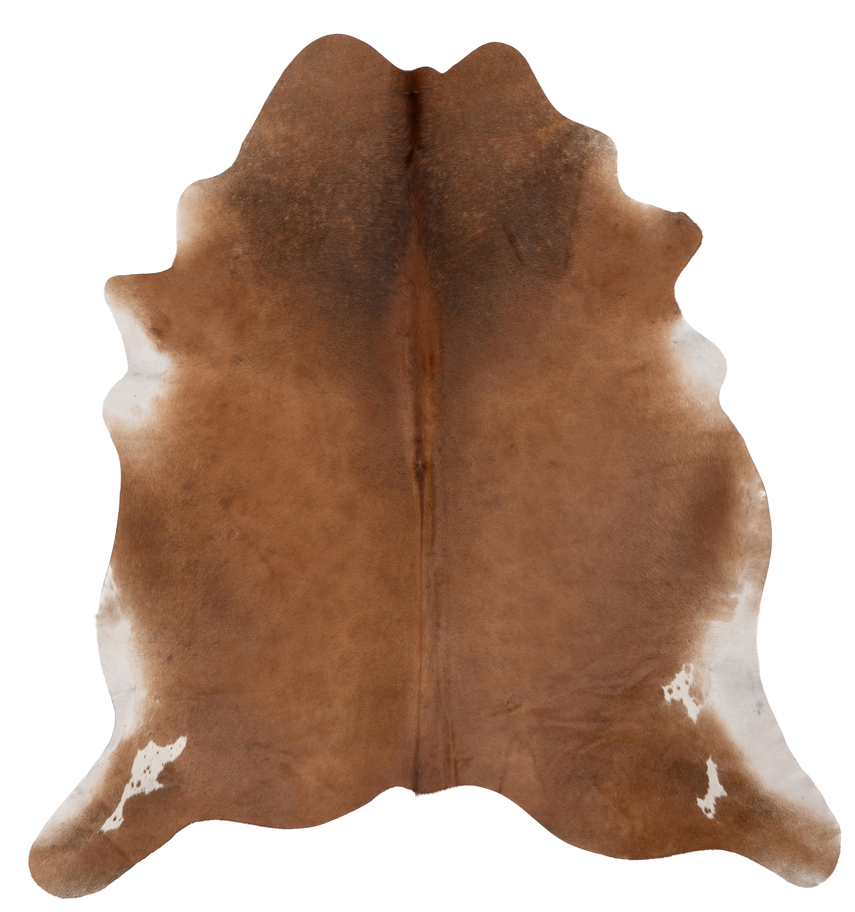 Unieke bruin-witte koeienhuid van ca. 180 x 160 cm, perfect voor interieurdecoratie.