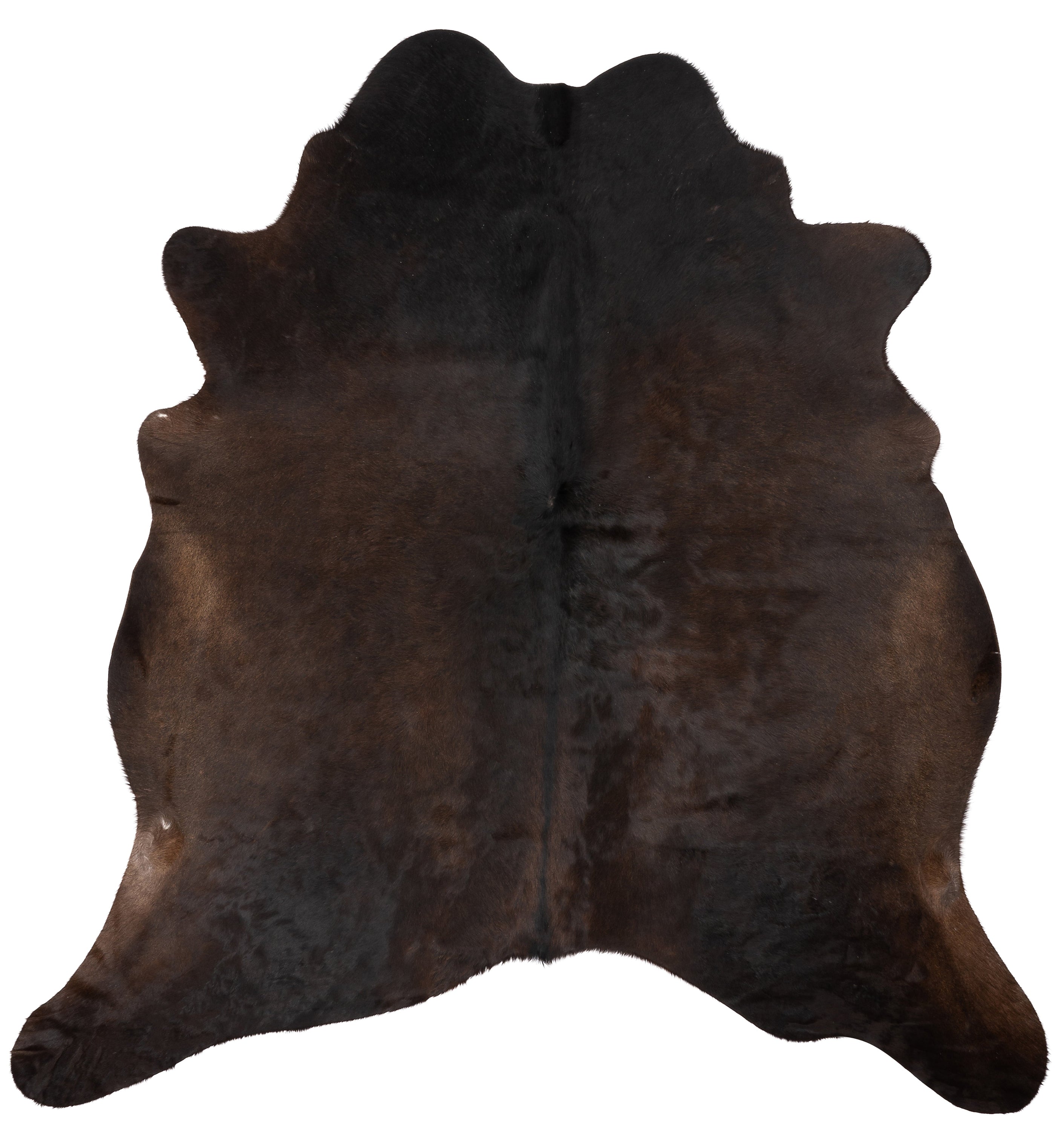 Donkerbruine koeienhuid van 180 x 160 cm, uniek en stijlvol voor interieurdecoratie.