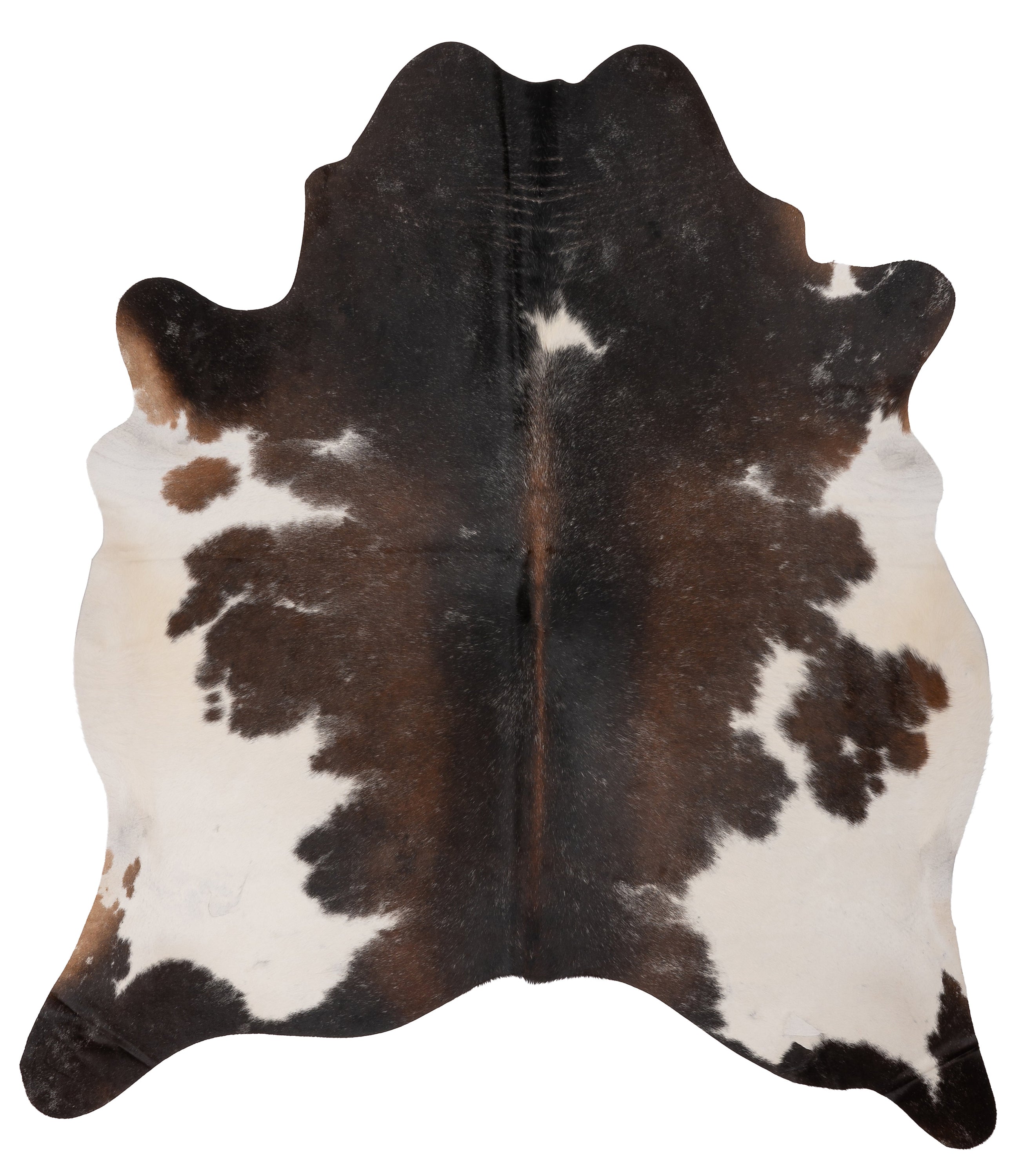 Unieke bruin-witte koeienhuid van ca. 180 x 160 cm, perfect voor interieurdecoratie.
