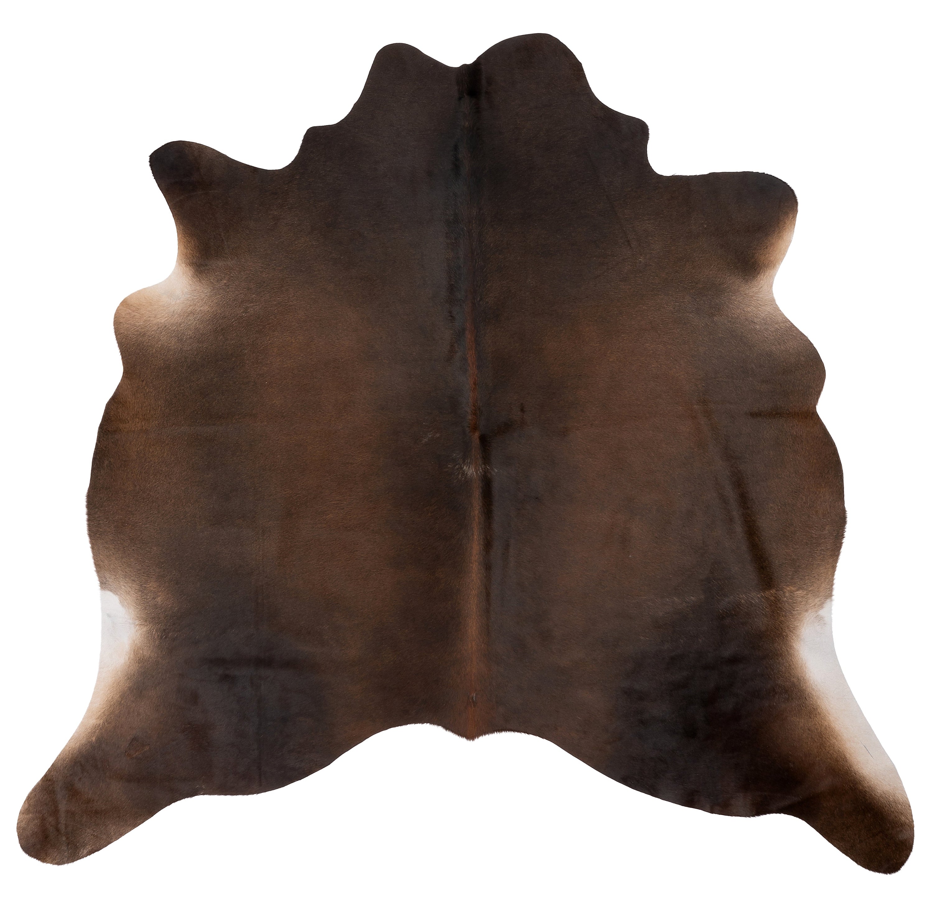 Unieke bruine koeienhuid K665 met afmetingen ca. 180 x 160 cm, perfect voor interieurdecoratie.