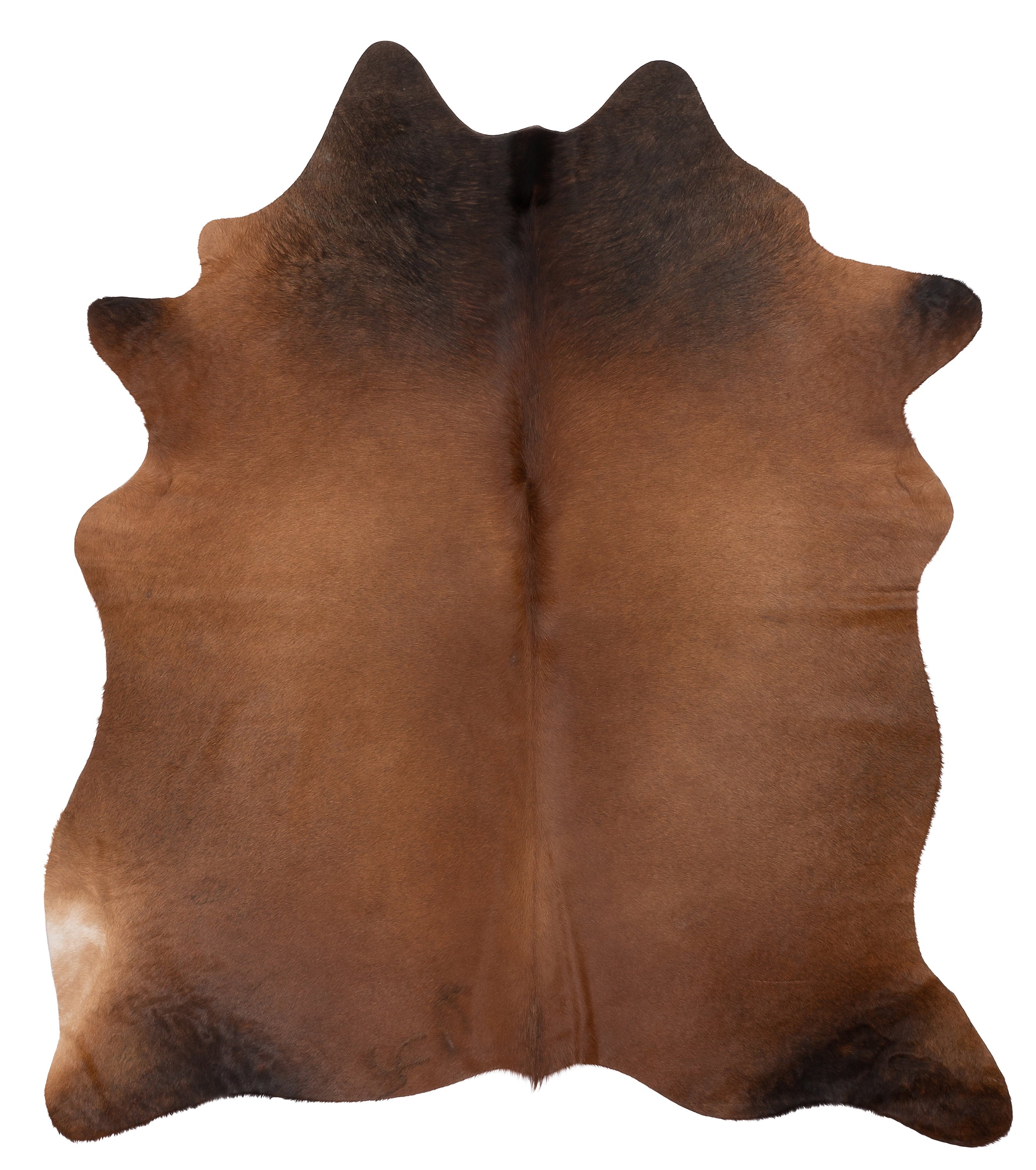 Unieke zwartbruine koeienhuid K654 met afmetingen ca. 180 x 160 cm, perfect voor interieurdecoratie.