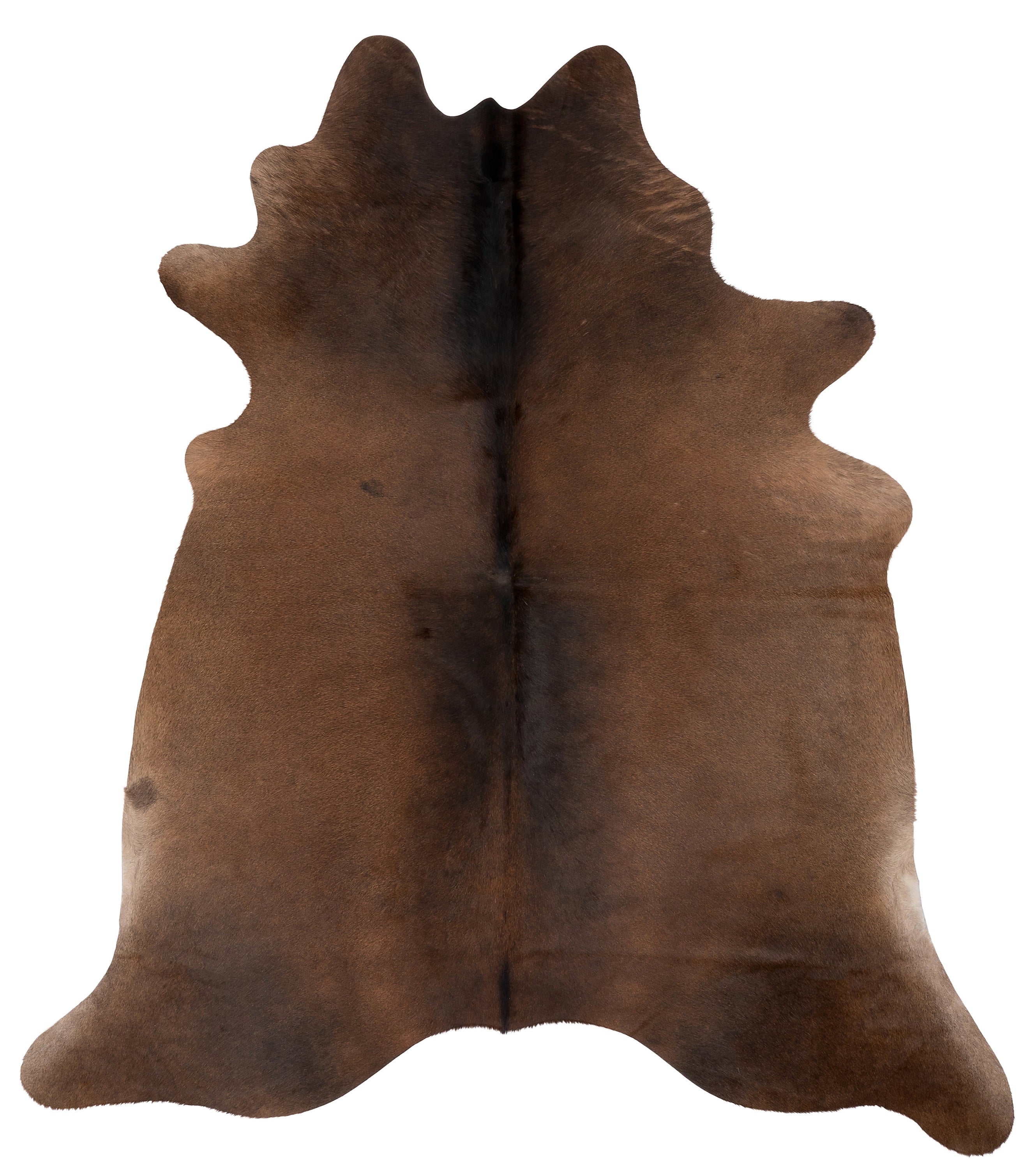 Unieke zwartbruine koeienhuid K683, met een afmeting van ca. 180 x 160 cm, perfect voor interieurdecoratie.