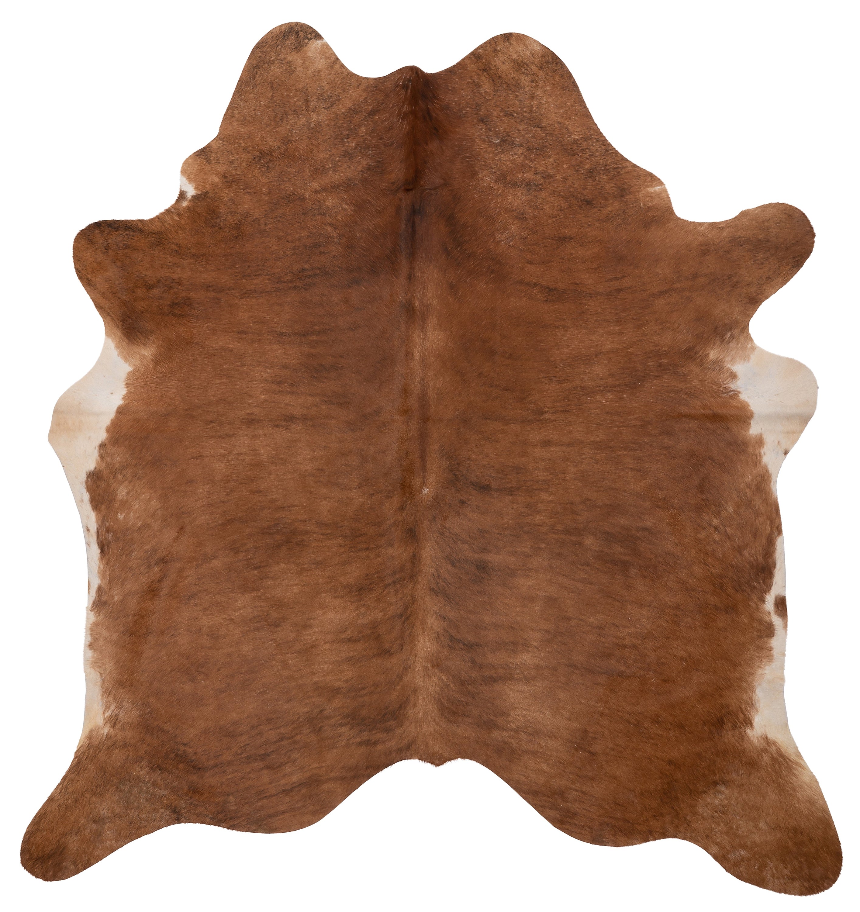 Unieke K814 koeienhuid XL in bruin, met afmetingen van ca. 210 x 180 cm, perfect voor interieurdecoratie.