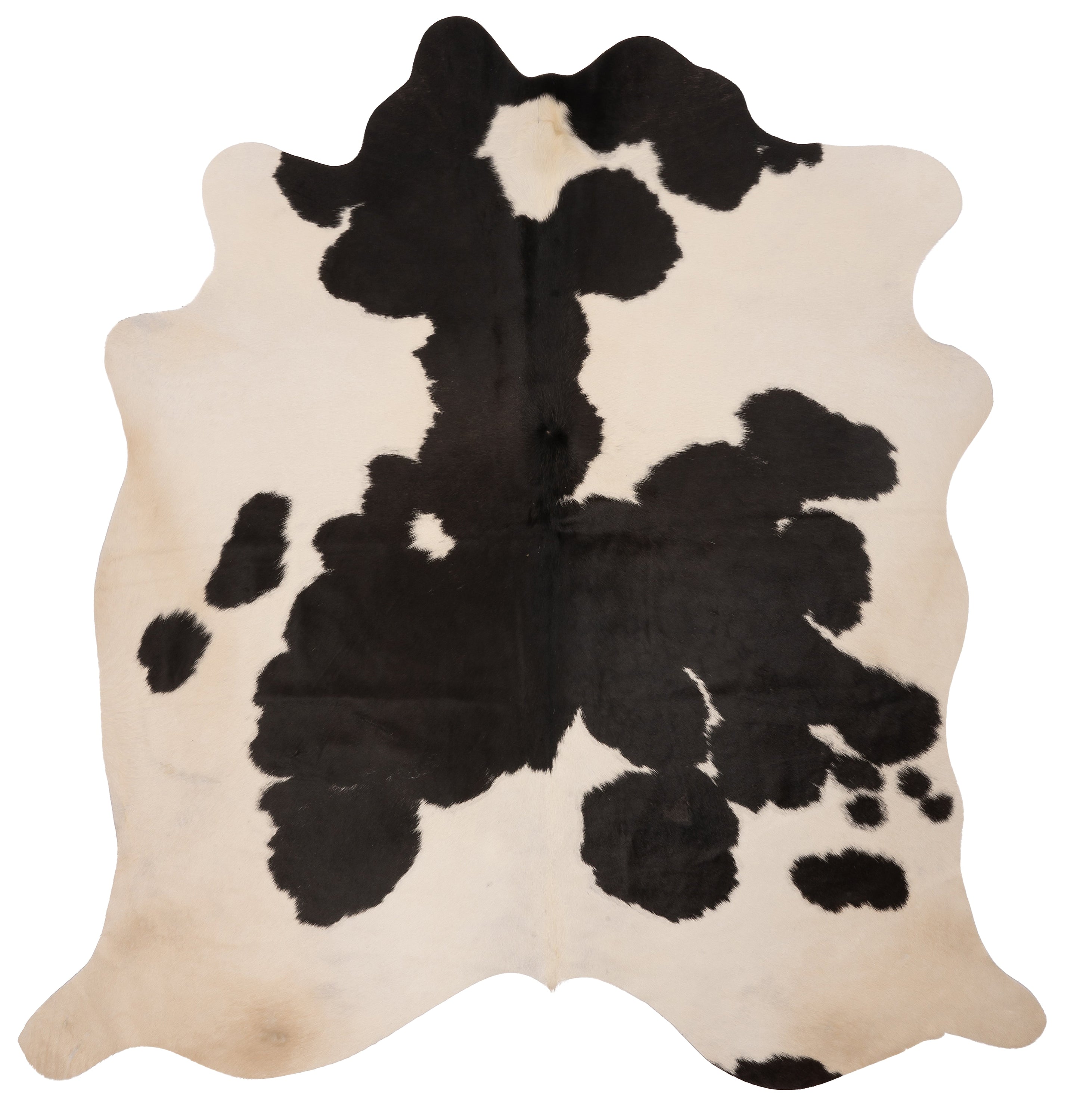 Unieke zwart-witte koeienhuid XL, afmetingen ca. 210 x 180 cm, perfect voor interieurdecoratie.