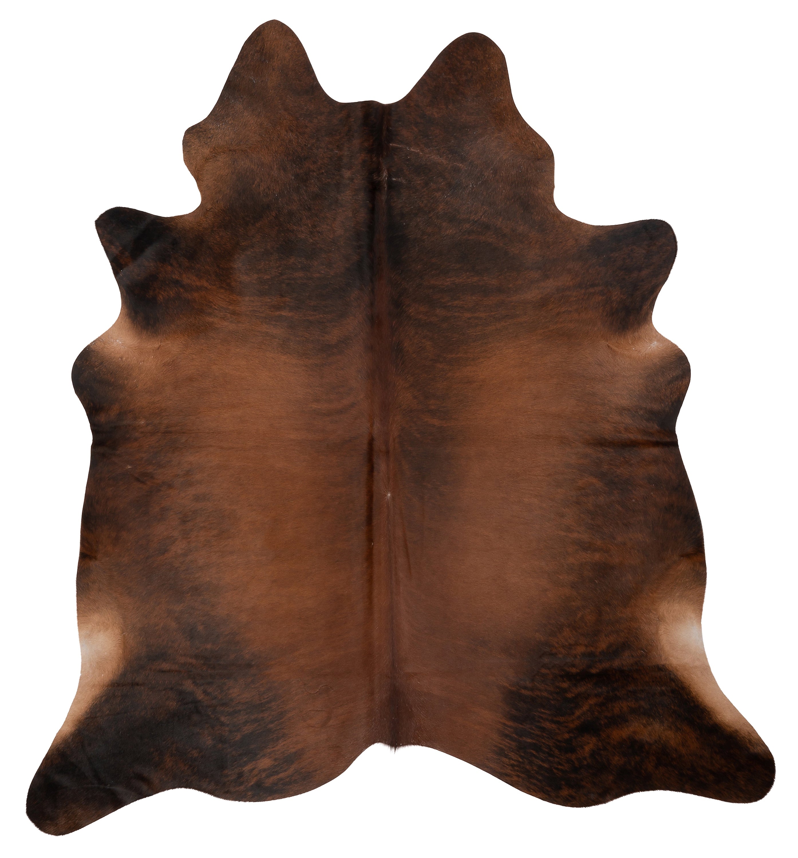 Unieke K884 koeienhuid XL in bruin, met afmetingen ca. 210 x 180 cm, perfect voor interieurdecoratie.