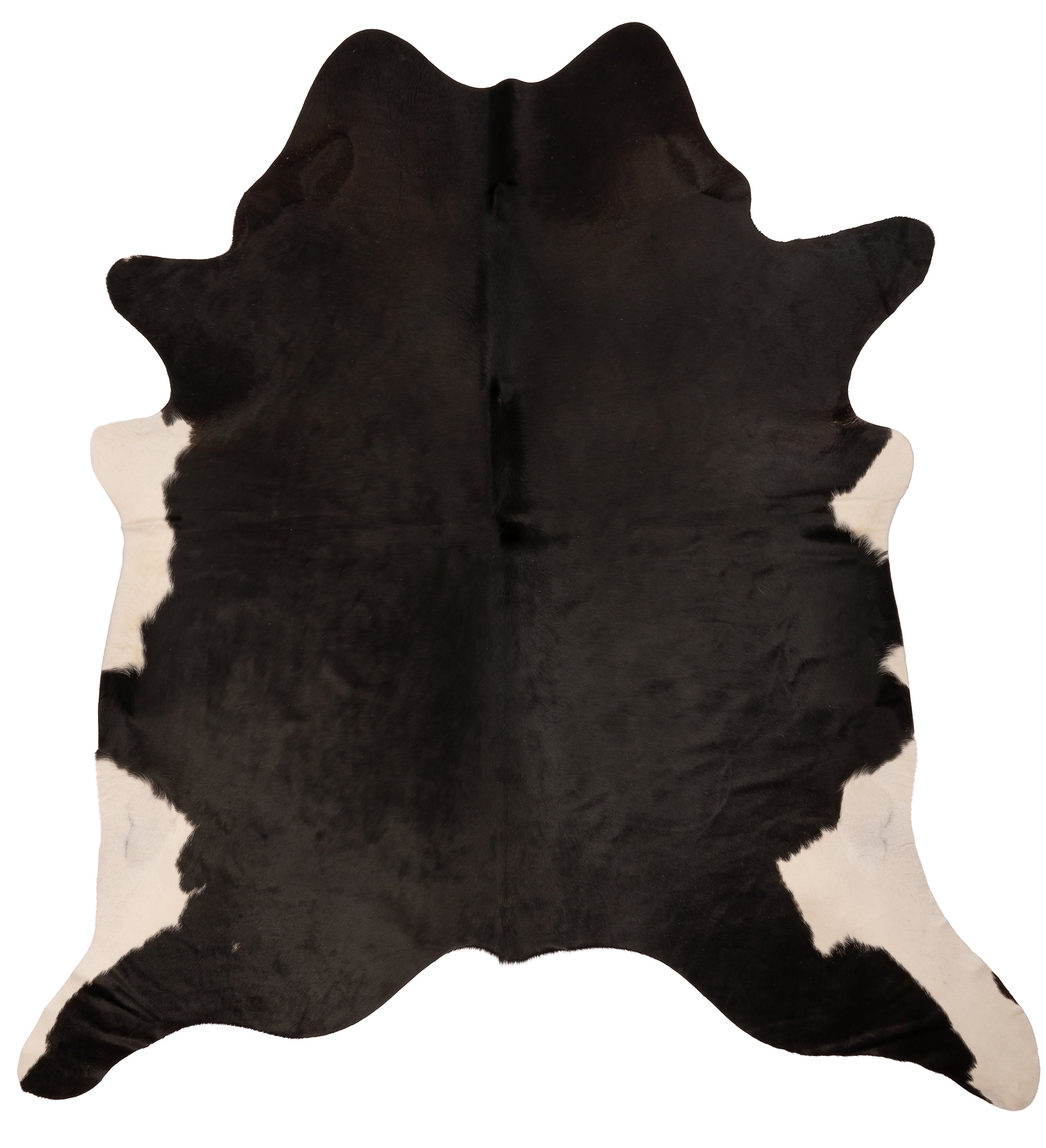 Unieke zwart-witte koeienhuid XL, afmetingen ca. 210 x 180 cm, perfect voor interieurdecoratie.