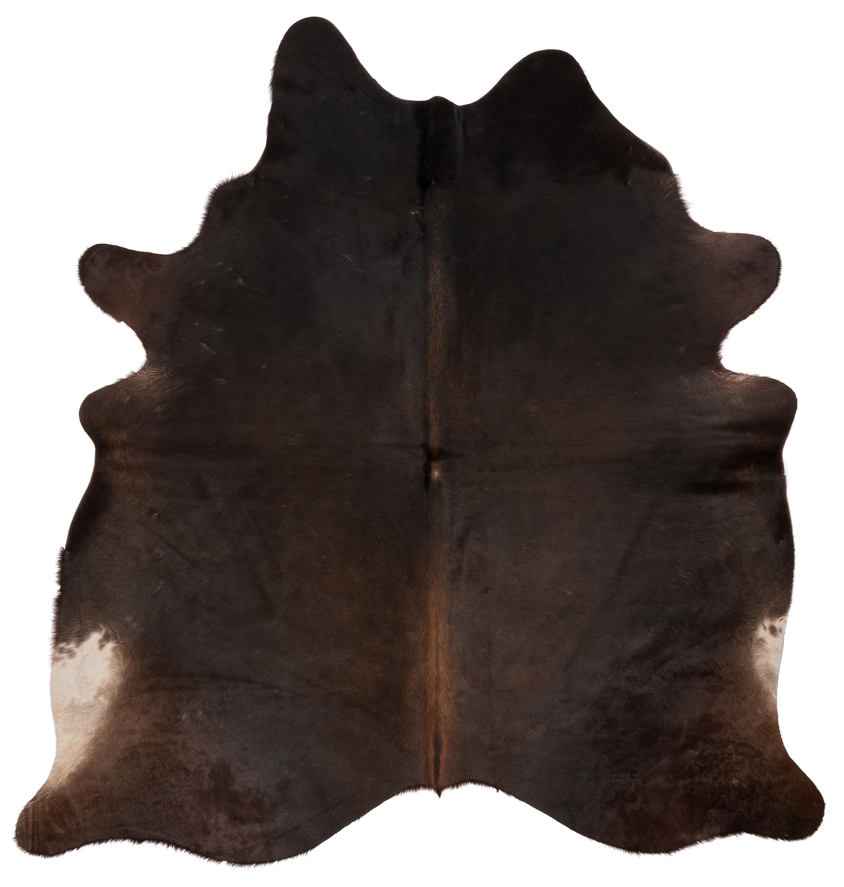 K858 unieke donkerbruine koeienhuid XL met afmetingen ca. 210 x 180 cm, perfect voor interieurdecoratie.