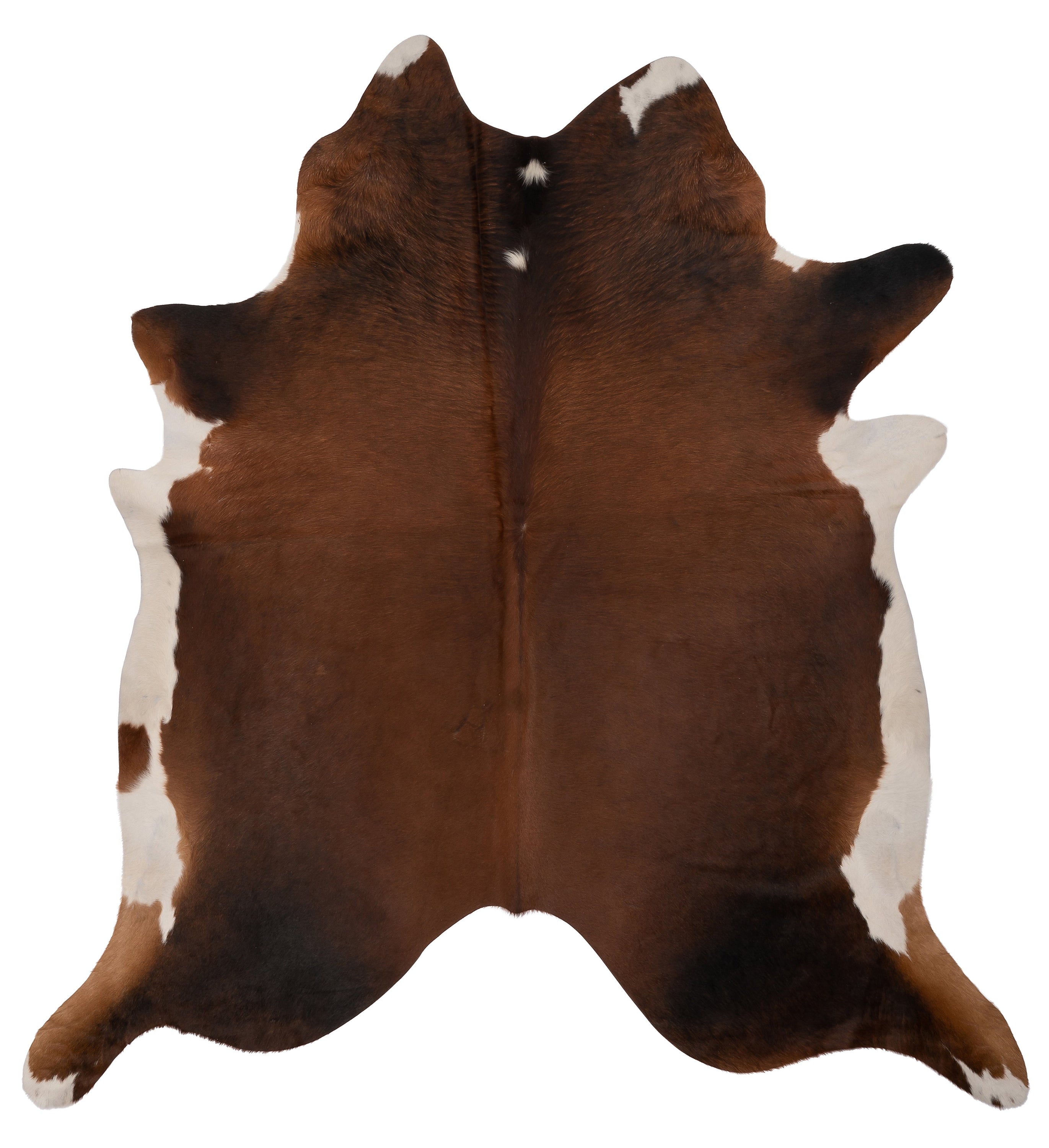 Unieke K873 koeienhuid XL in bruin, afmetingen ca. 210 x 180 cm, perfect voor interieurdecoratie.