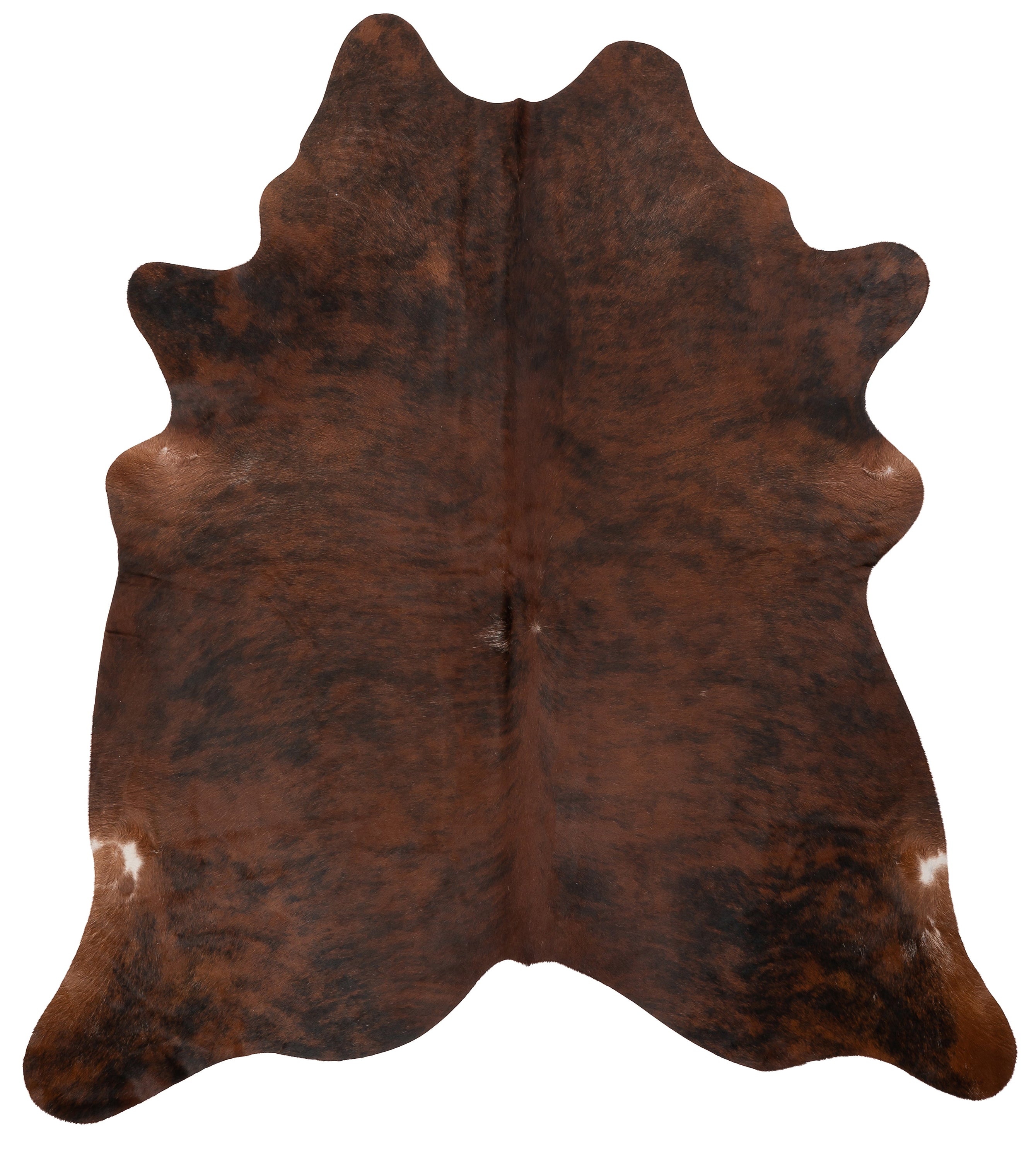 Unieke donkerbruine K889 koeienhuid XL met afmetingen ca. 210 x 180 cm, perfect voor interieurdecoratie.