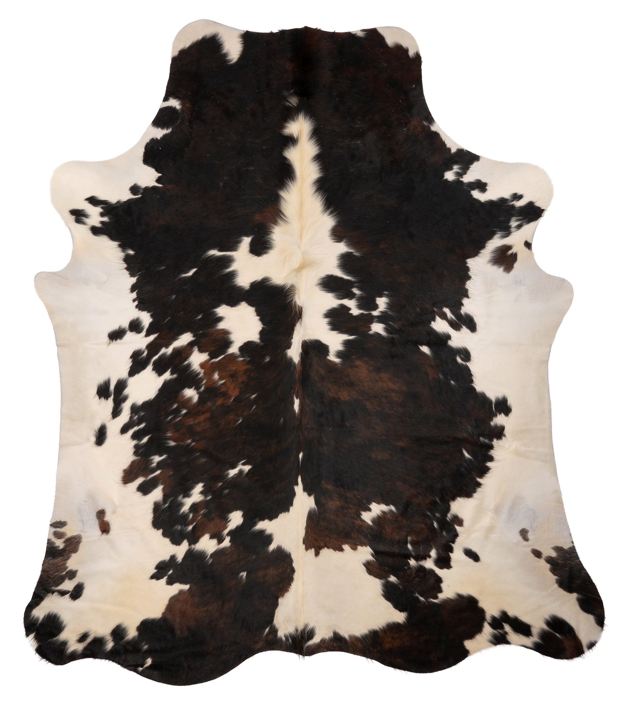 Unieke bruin-witte koeienhuid XL van ca. 210 x 180 cm, perfect voor interieurdecoratie.