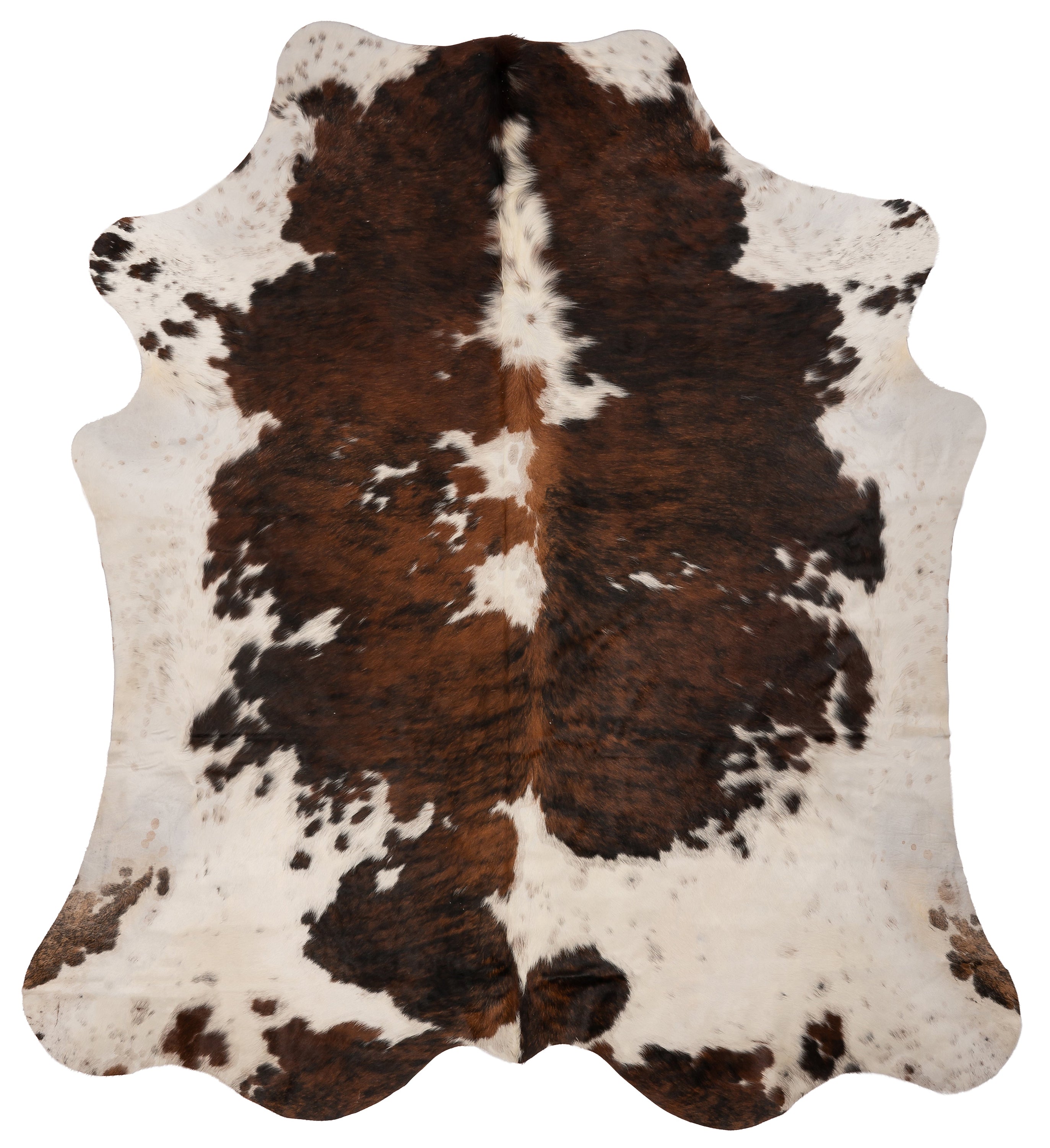 Unieke bruin-witte koeienhuid XL van ca. 210 x 180 cm, perfect voor interieurdecoratie.