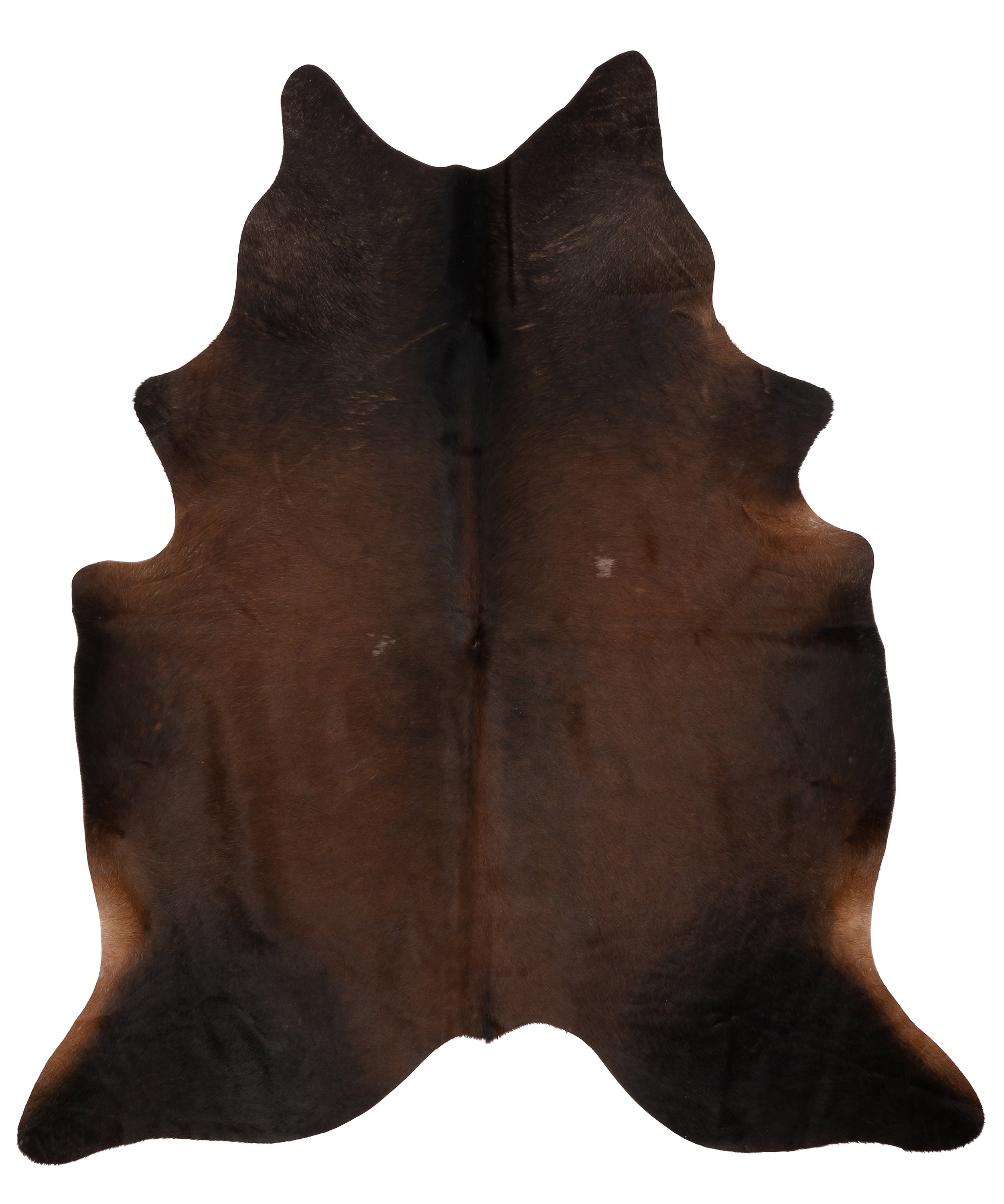 Unieke donkerbruine K917 koeienhuid XL van ca. 210 x 180 cm, perfect voor interieurdecoratie.