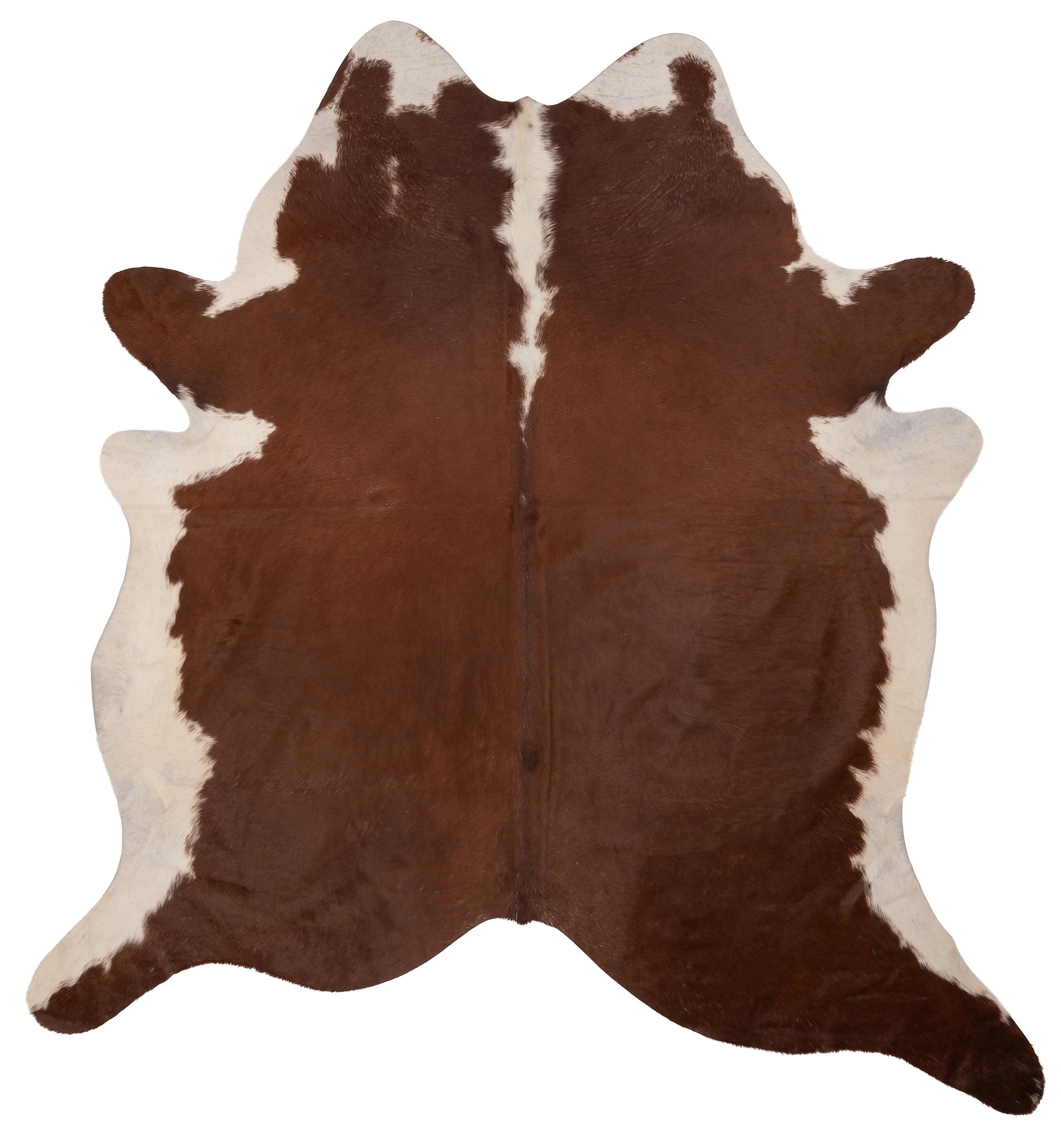 Unieke bruin-witte K924 koeienhuid XL met afmetingen ca. 210 x 180 cm, perfect voor interieurdecoratie.