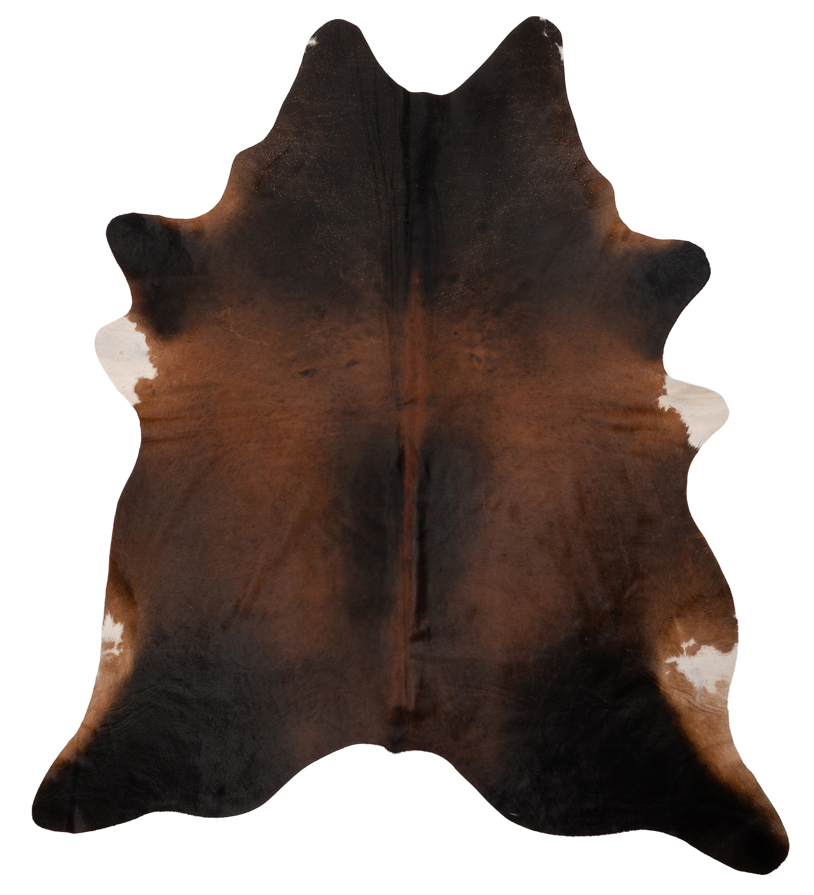 Unieke donkerbruine K928 koeienhuid XL met afmetingen ca. 210 x 180 cm, perfect voor interieurdecoratie.
