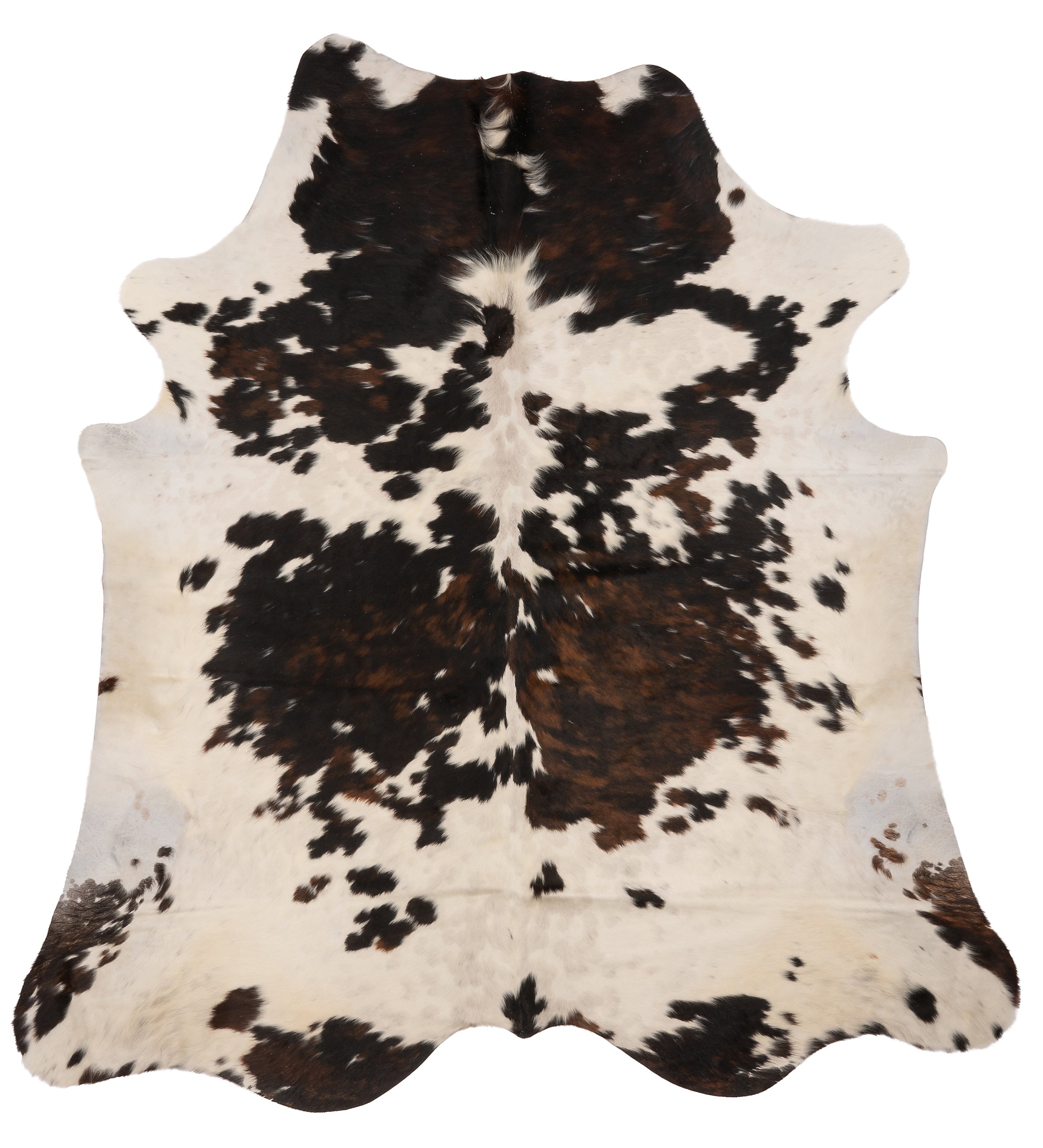 Unieke bruin-witte K944 koeienhuid XL met afmetingen ca. 210 x 180 cm, perfect voor interieurdecoratie.