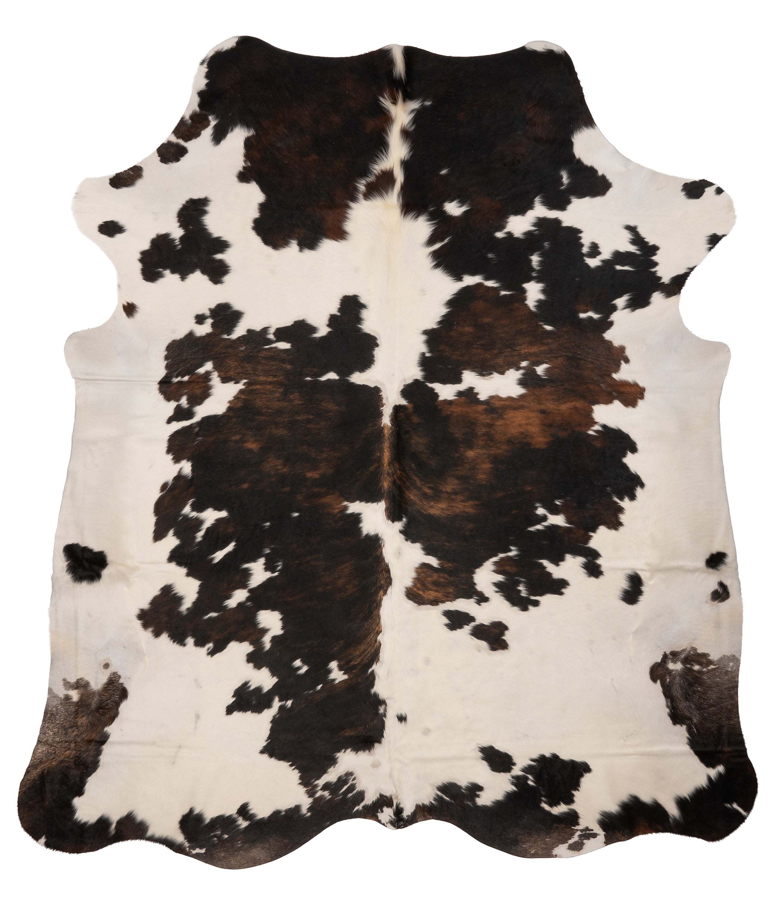 K945 unieke koeienhuid XL in bruin-wit, met een afmeting van ca. 210 x 180 cm, perfect voor interieurdecoratie.