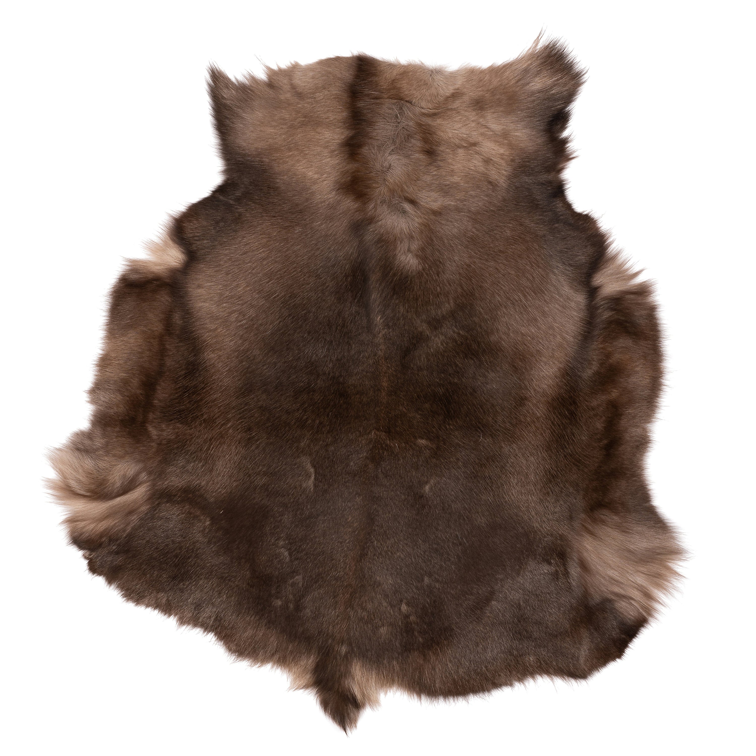 Unieke bruine rendiervacht van ca. 120 x 75 cm, perfect voor interieurdecoratie.