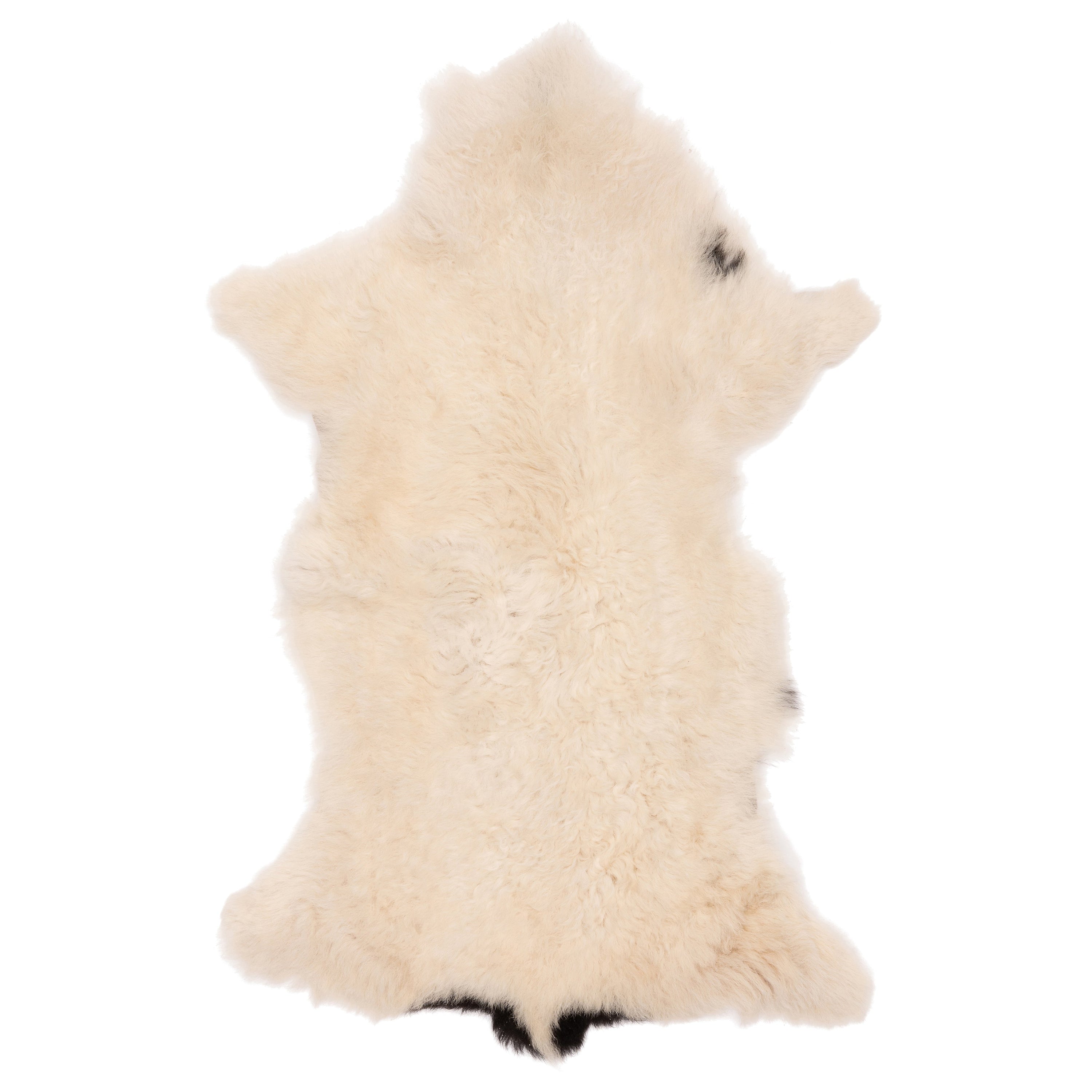 Unieke schapenvacht in wit-bruin, 90 x 50 cm, met een zachte en wollige textuur, perfect voor decoratie en comfort.