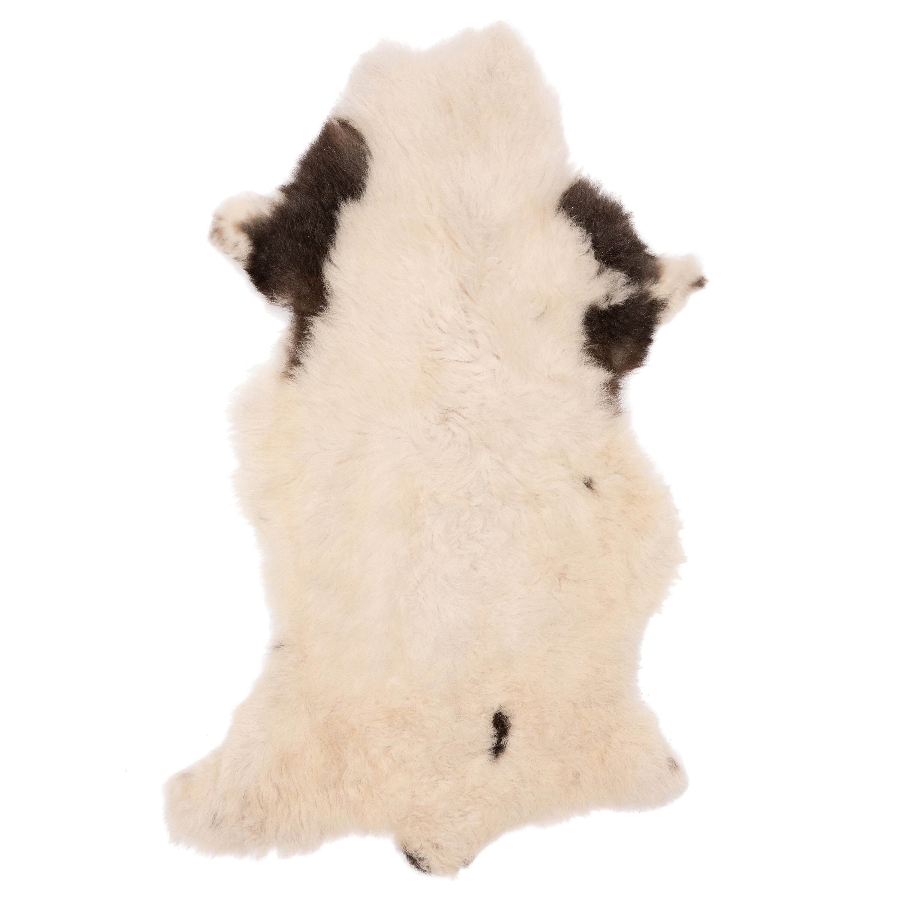 Unieke bruin-witte schapenvacht van 90 x 50 cm, zacht en wollig, perfect voor decoratie en comfort in huis.