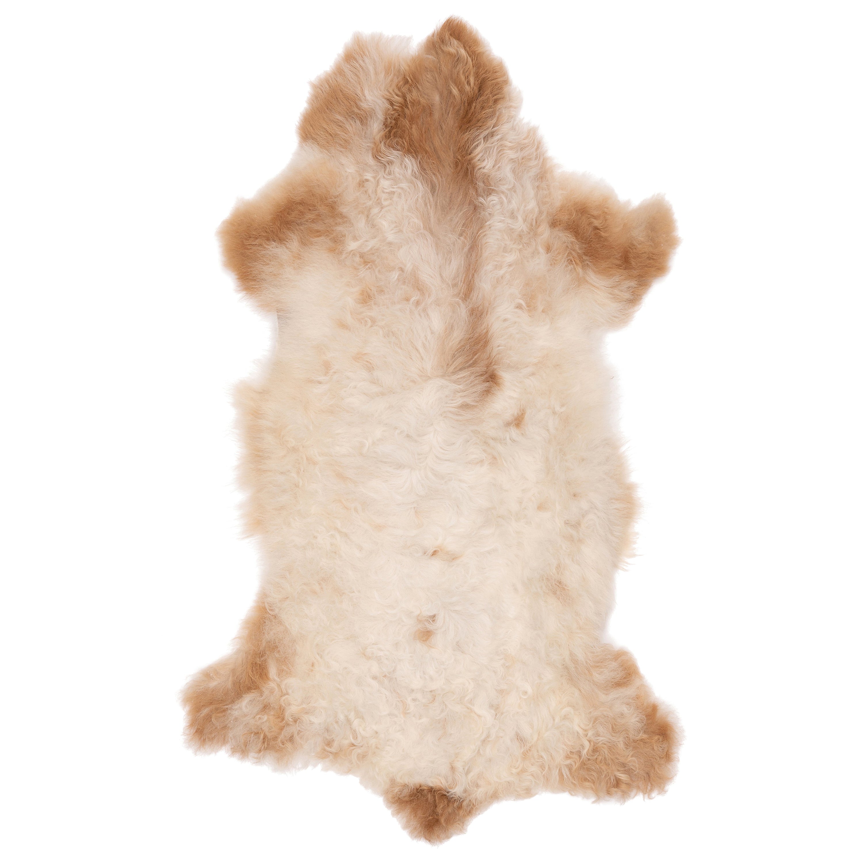 Unieke schapenvacht in wit-bruin, 90 x 50 cm, met een volle, wollige uitstraling.