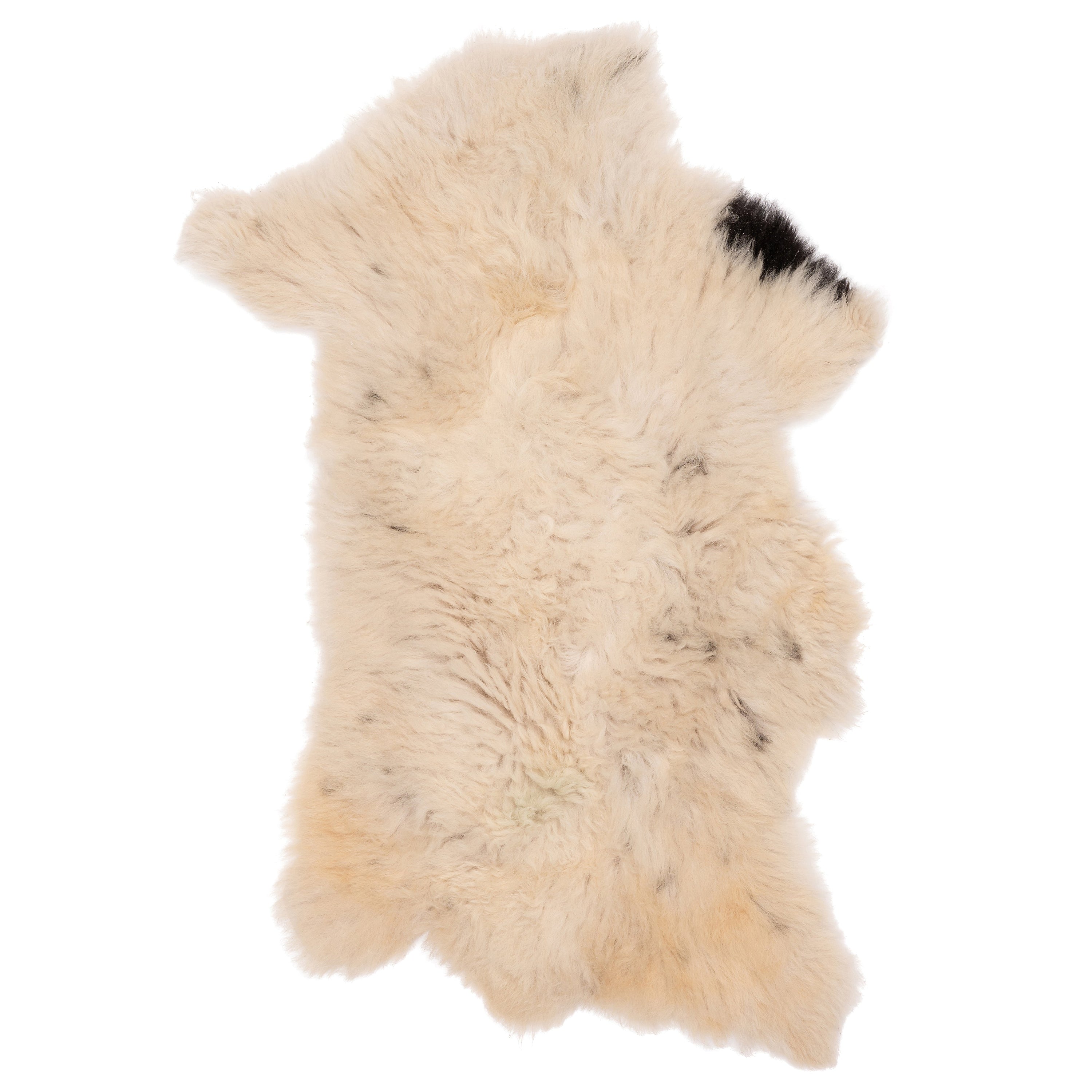 Unieke schapenvacht in wit-bruin, 90 x 50 cm, met een zachte en volle uitstraling, perfect voor decoratie en comfort.