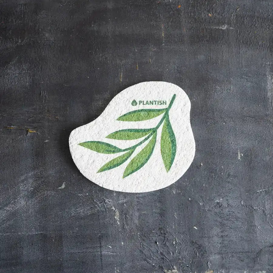 Eucalyptus Pop-up Sponge displayed on a kitchen countertop, showcasing its eco-friendly design and texture.