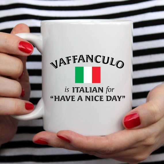 A humorous coffee mug featuring the phrase 'Vaffanculo Is Italian For Have A Nice Day', made from high-quality ceramic.