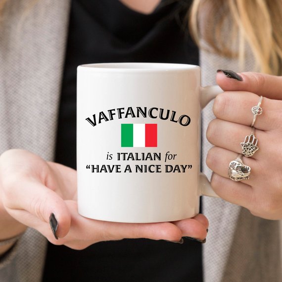 A humorous coffee mug featuring the phrase 'Vaffanculo Is Italian For Have A Nice Day', made from high-quality ceramic.