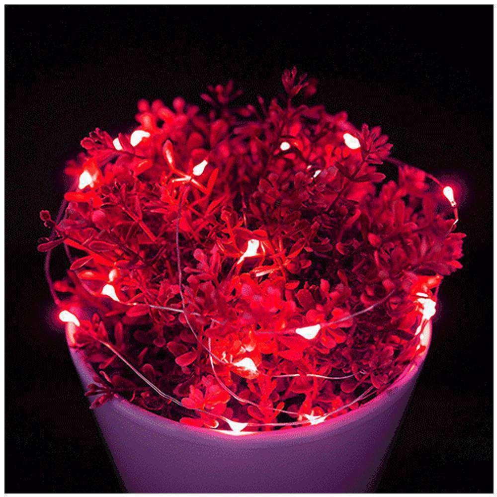 AMZER Fairy String Light featuring 50 LED lights on a flexible copper wire, designed for waterproof use and battery operation, ideal for decoration.
