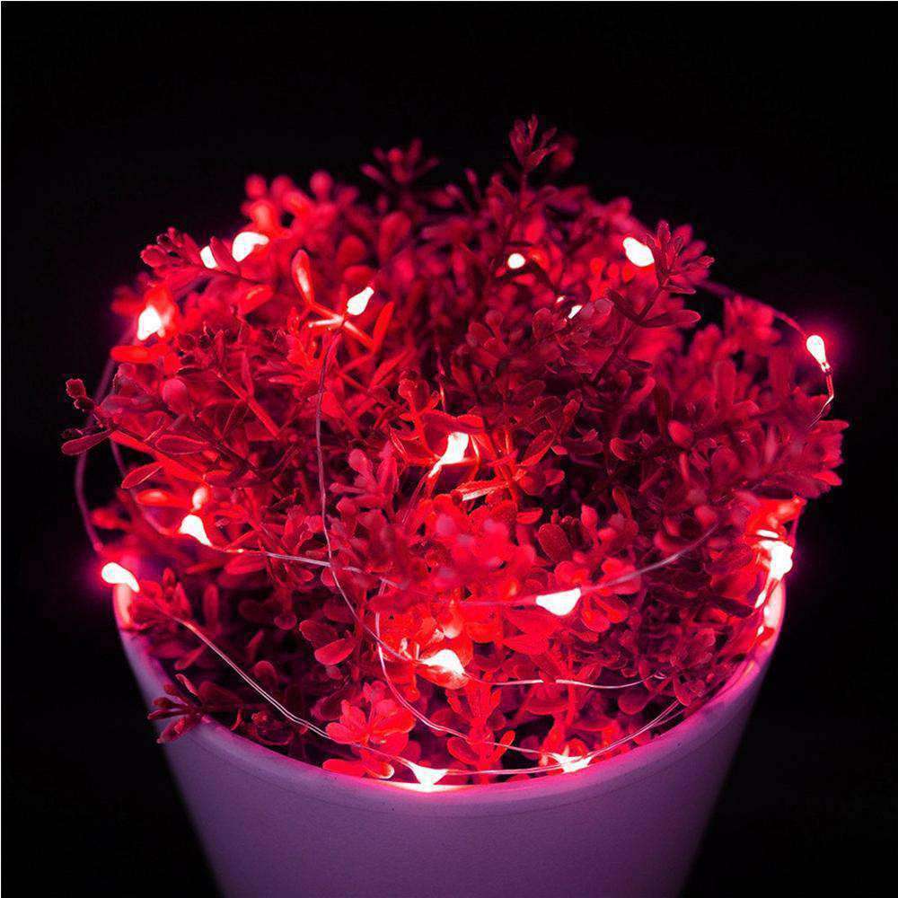 AMZER Fairy String Light featuring 50 LED lights on a flexible copper wire, designed for waterproof use and battery operation, ideal for decoration.