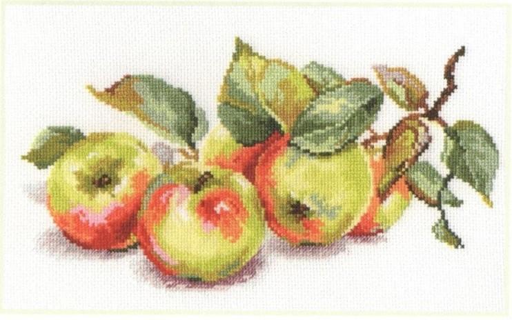 Apples 5-09 Cross-stitch kit featuring white aida fabric, colorful threads, and an embroidery needle.