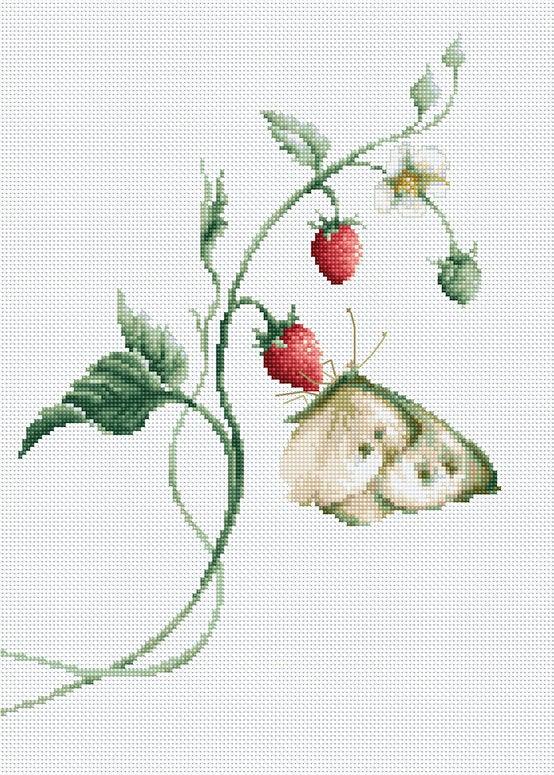 Aroma of Summer B2268L Counted Cross-Stitch Kit featuring butterfly and strawberry design with included materials.