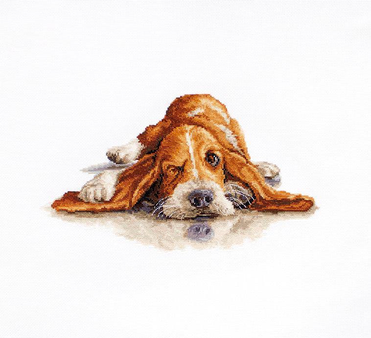 Basset B2341L Counted Cross-Stitch Kit featuring a basset dog design with high-quality Zweigart canvas and Anchor threads.