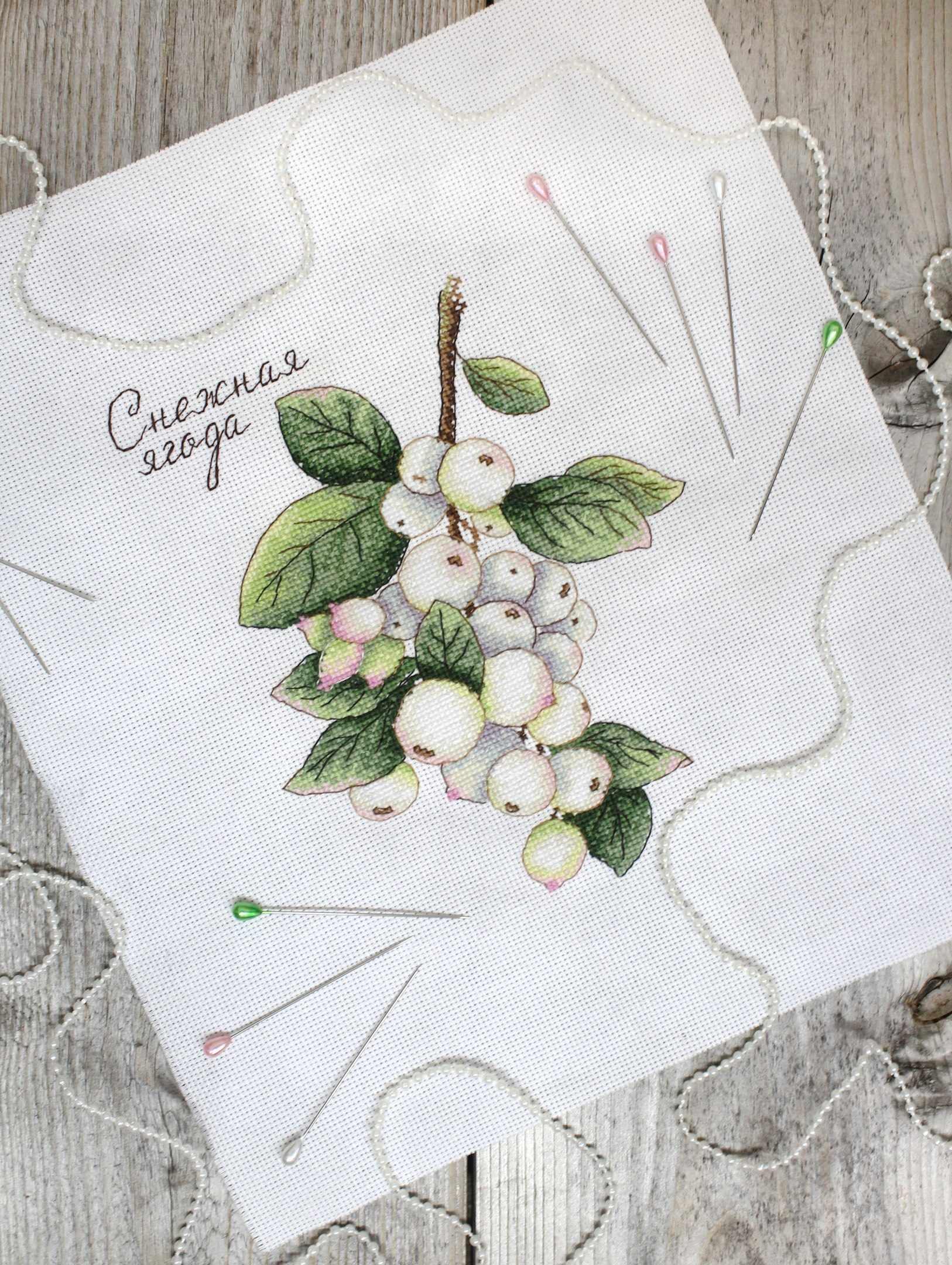 Berries SNV-662 Counted Cross Stitch Kit featuring colorful threads, AIDA canvas, and a needle, perfect for creating beautiful cross stitch art.