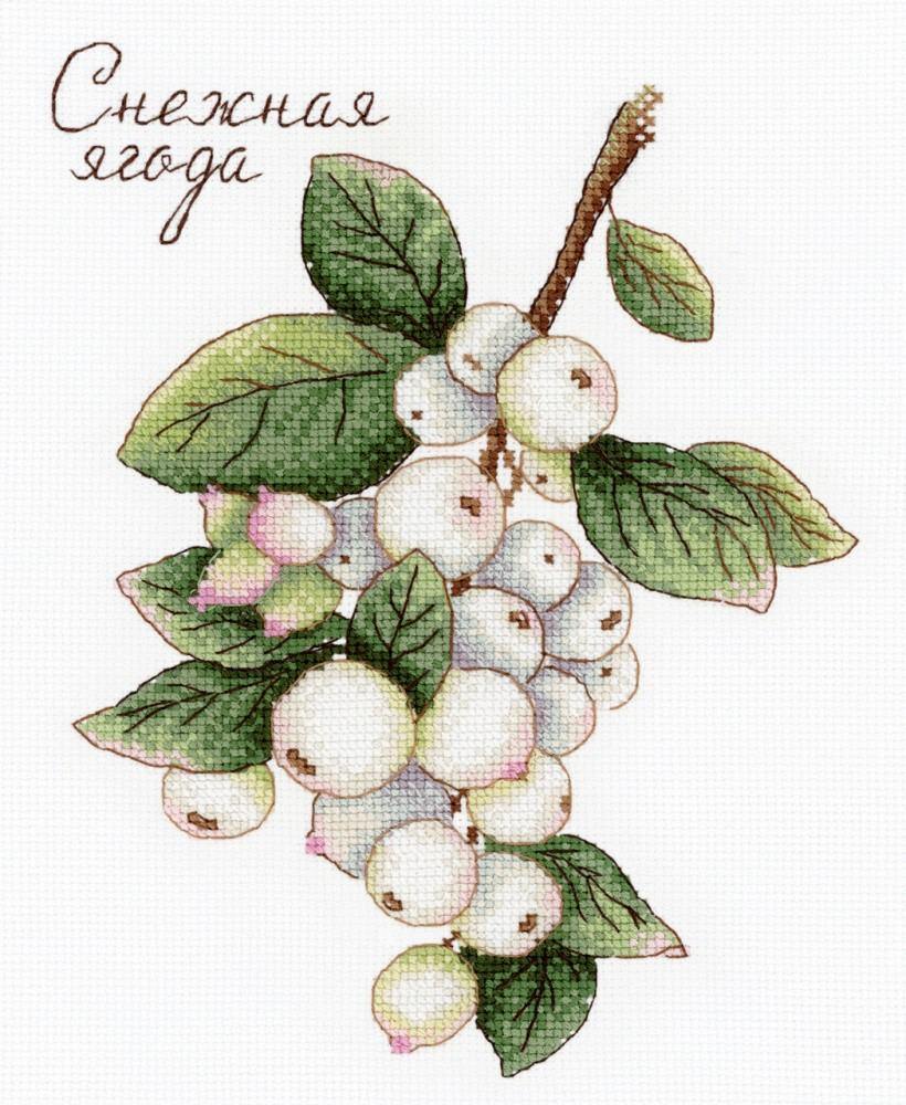 Berries SNV-662 Counted Cross Stitch Kit featuring colorful threads, AIDA canvas, and a needle, perfect for creating beautiful cross stitch art.