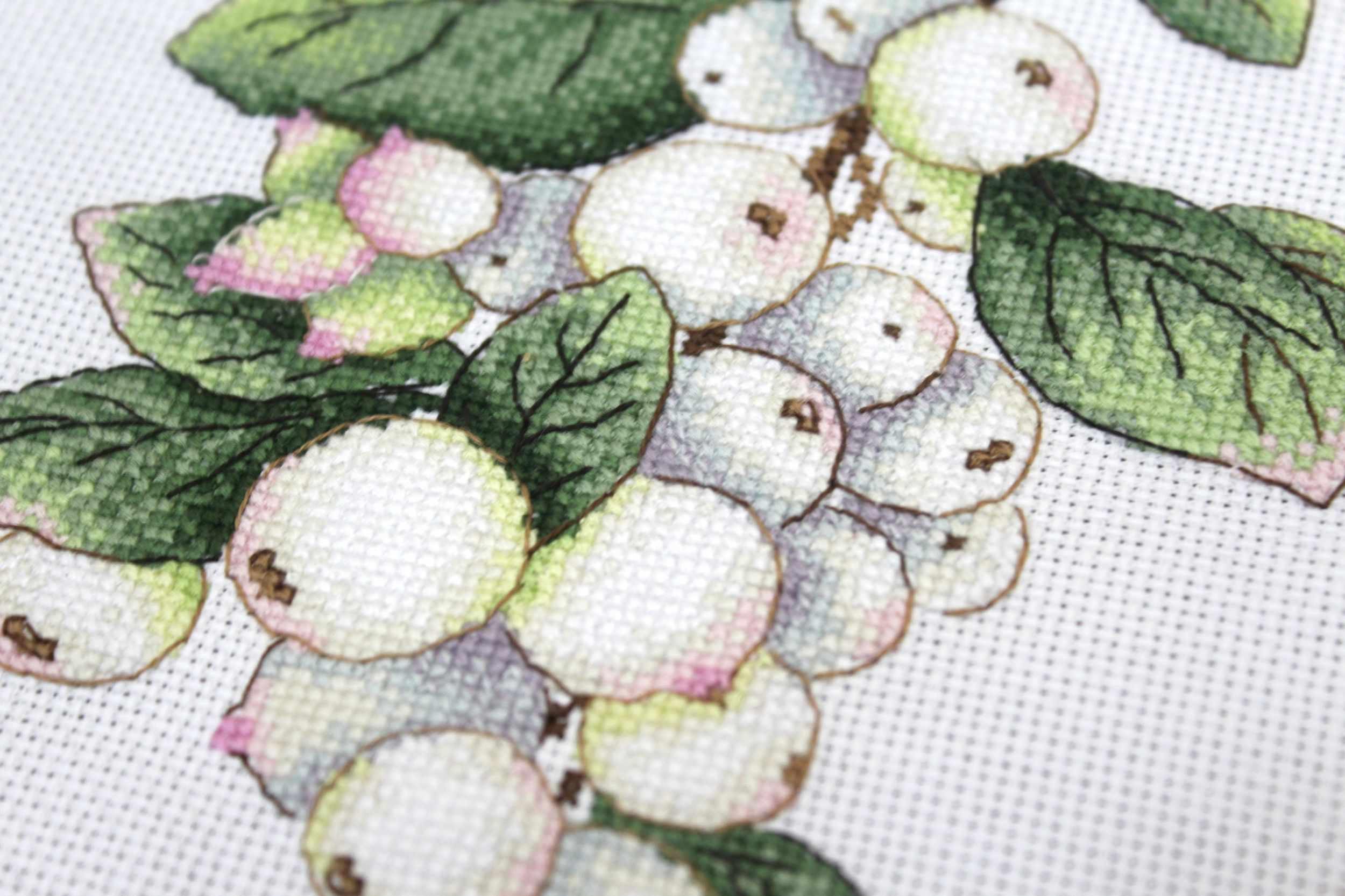 Berries SNV-662 Counted Cross Stitch Kit featuring colorful threads, AIDA canvas, and a needle, perfect for creating beautiful cross stitch art.