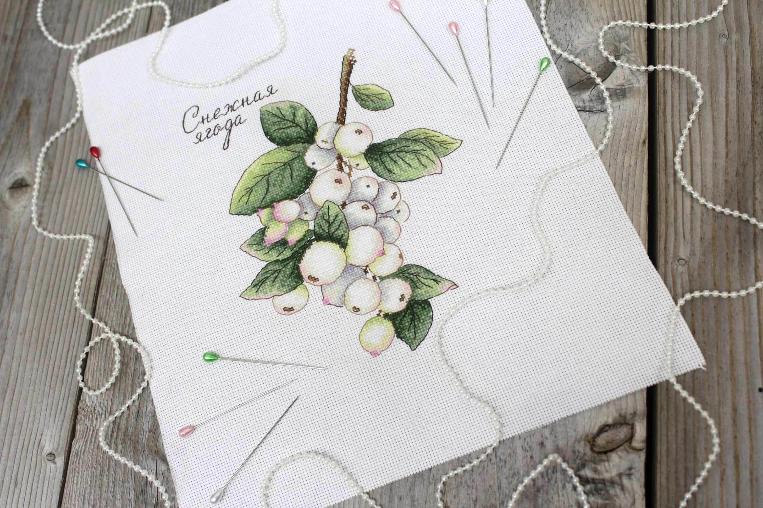 Berries SNV-662 Counted Cross Stitch Kit featuring colorful threads, AIDA canvas, and a needle, perfect for creating beautiful cross stitch art.