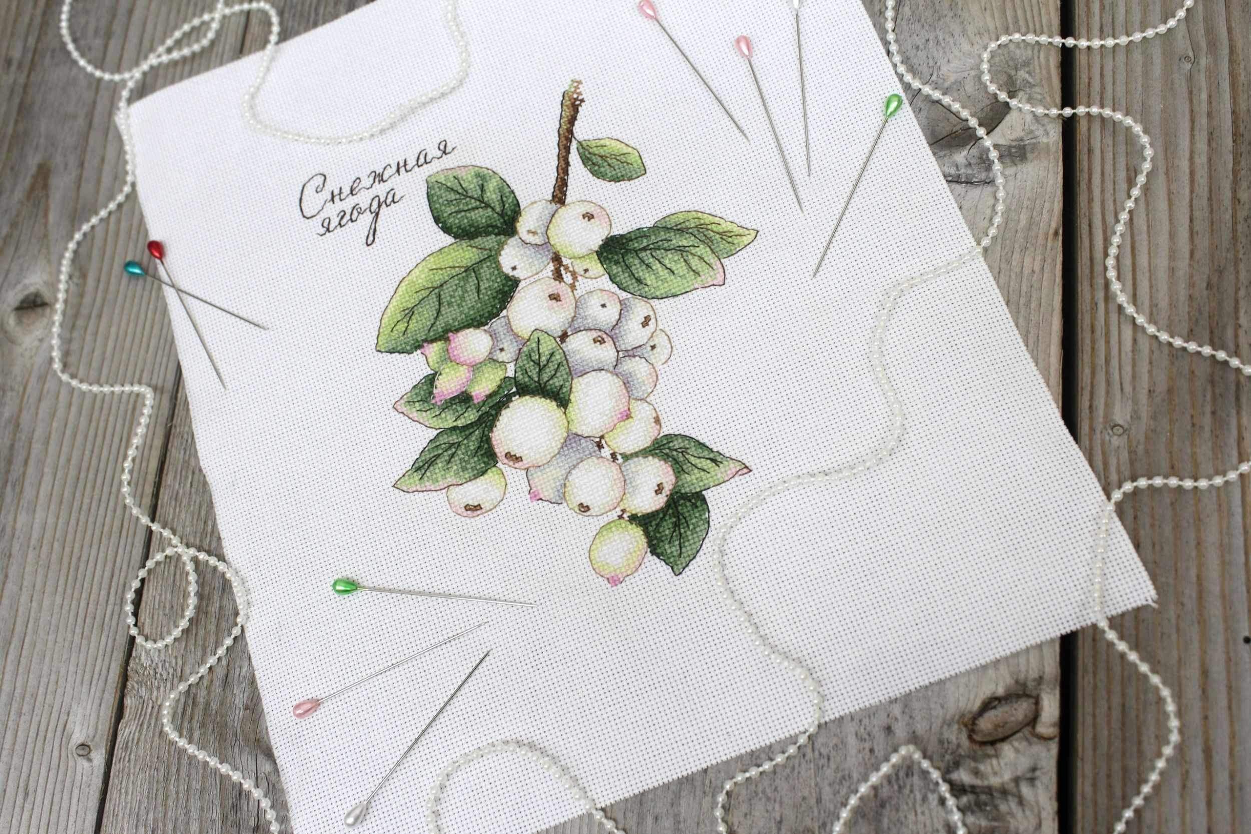 Berries SNV-662 Counted Cross Stitch Kit featuring colorful threads, AIDA canvas, and a needle, perfect for creating beautiful cross stitch art.
