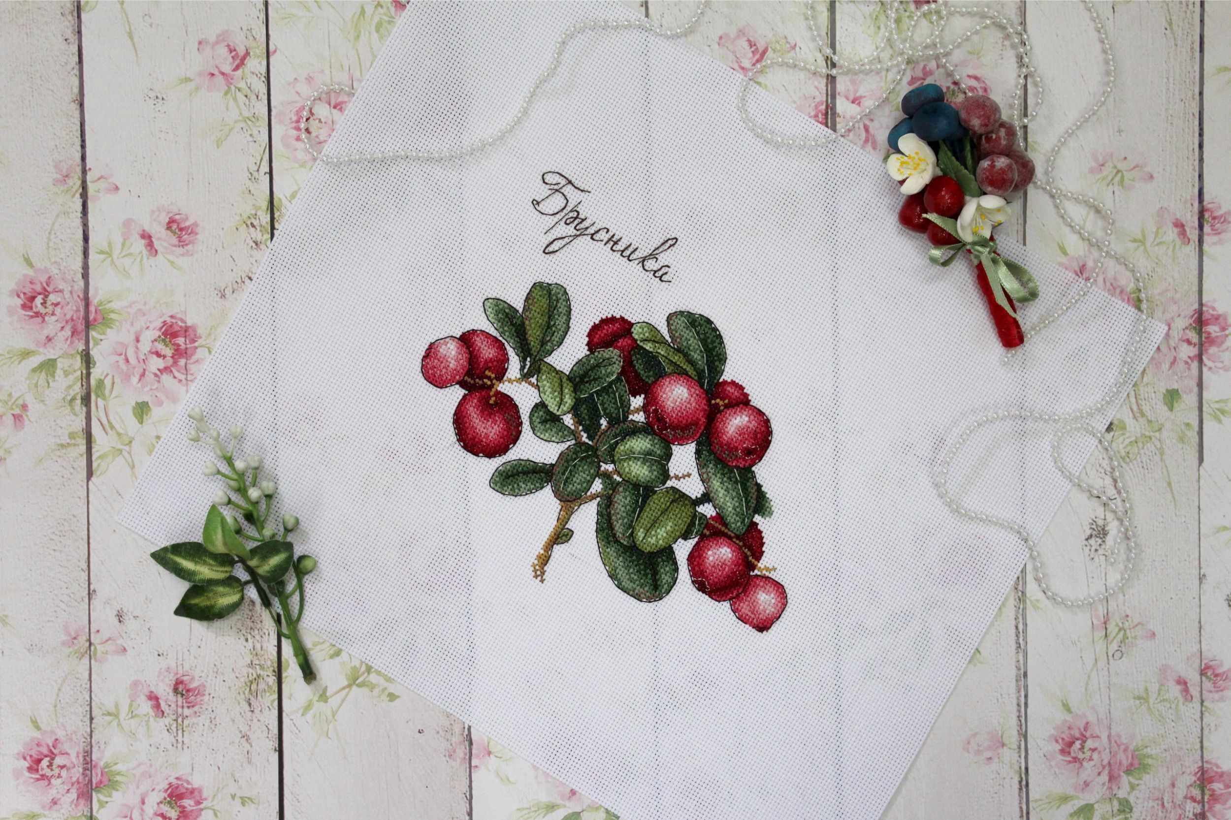 Berries SNV-650 Counted Cross Stitch Kit featuring colorful threads, AIDA canvas, and a needle for crafting.