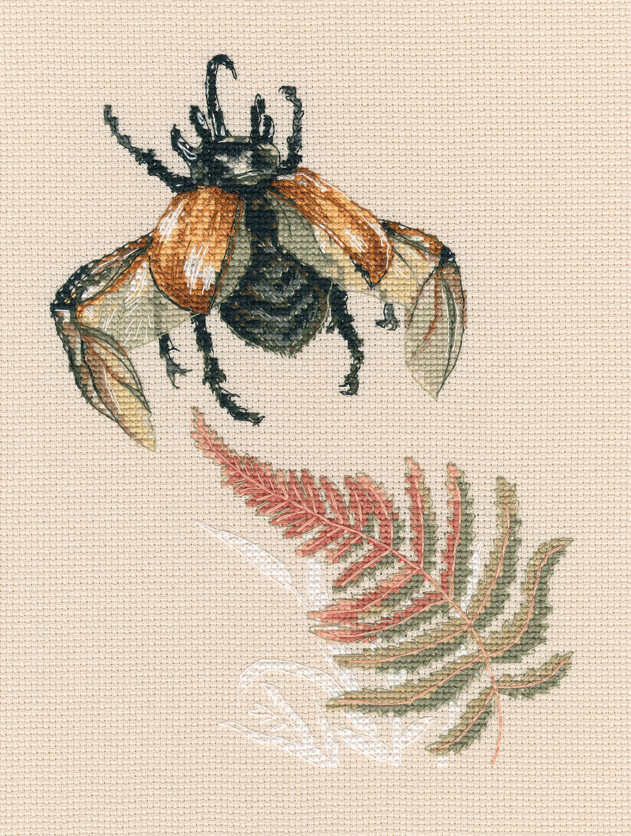 Bug's Fly M758 Counted Cross Stitch Kit featuring grey beige Aida canvas, 23 colorful cotton threads, and included needle and instructions.