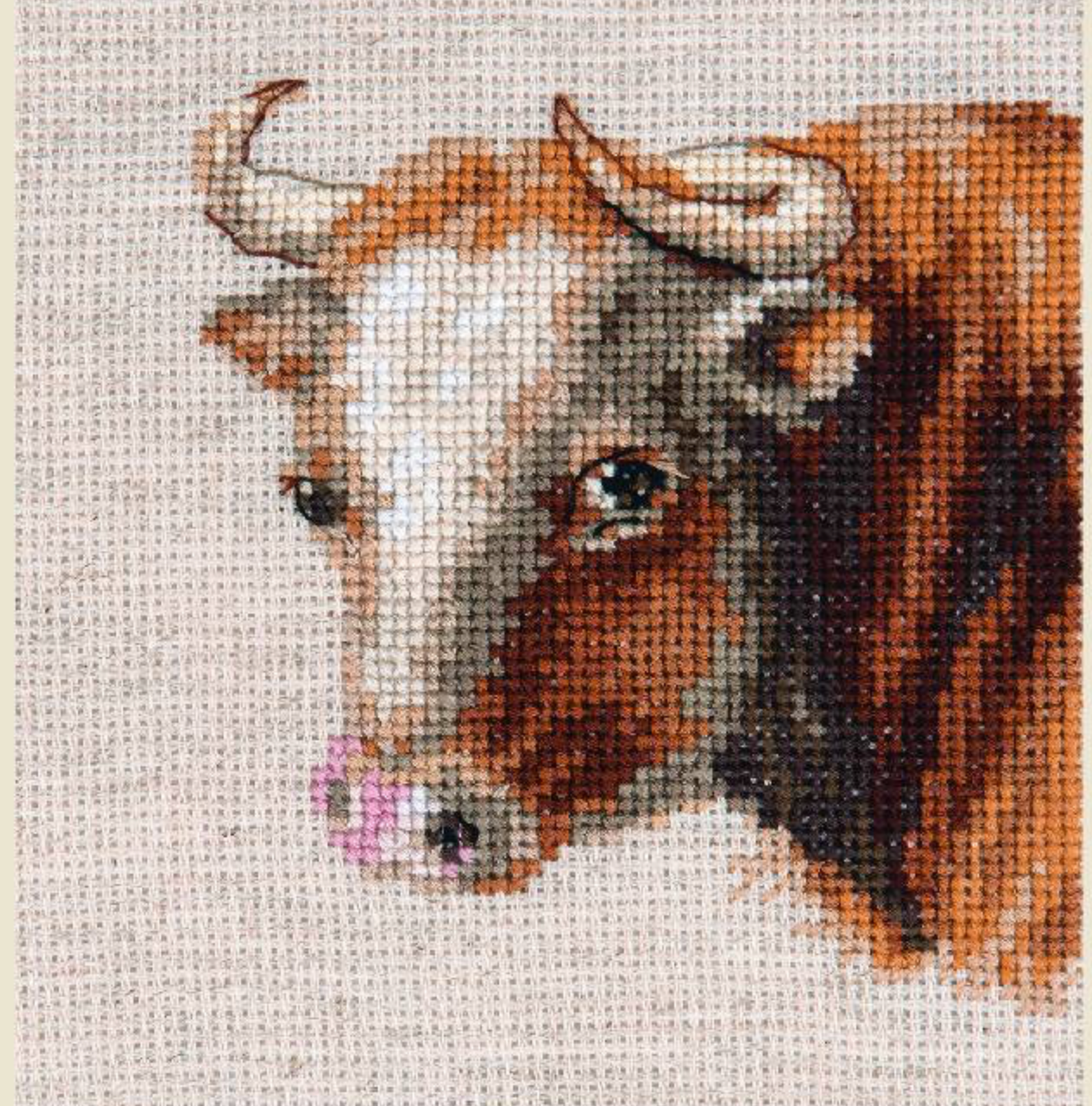 Bull 0-214 Counted Cross-Stitch Kit featuring linen fabric, 18 vibrant threads, and an embroidery needle, perfect for crafting enthusiasts.