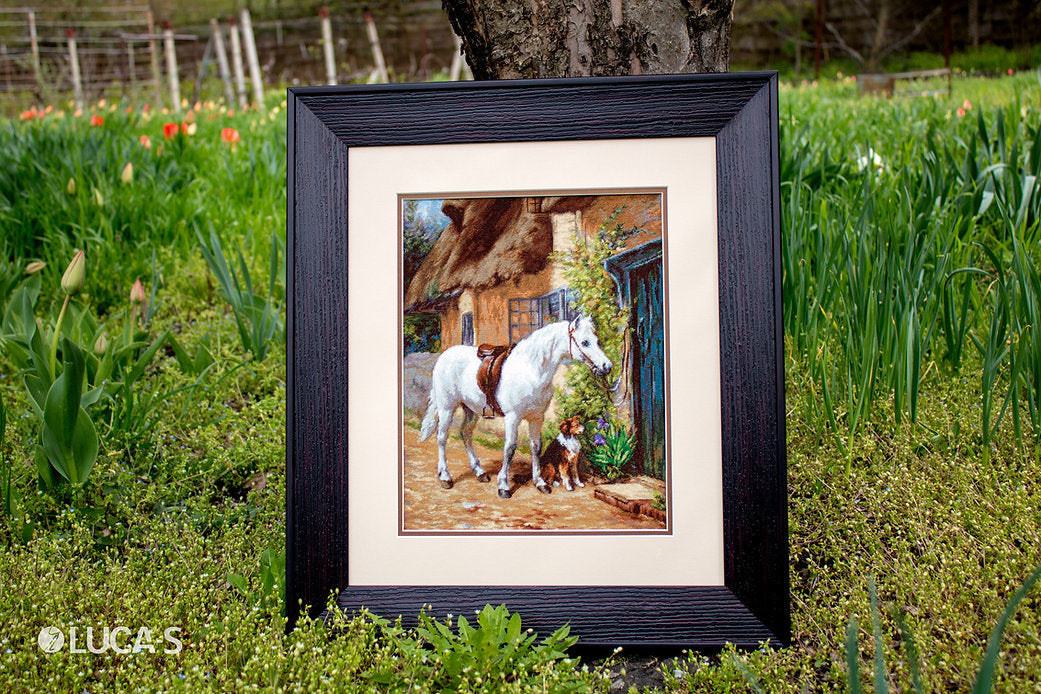 By the Cottage B572L Counted Cross-Stitch Kit featuring Aida canvas, 50 Anchor colors, and needle for crafting.