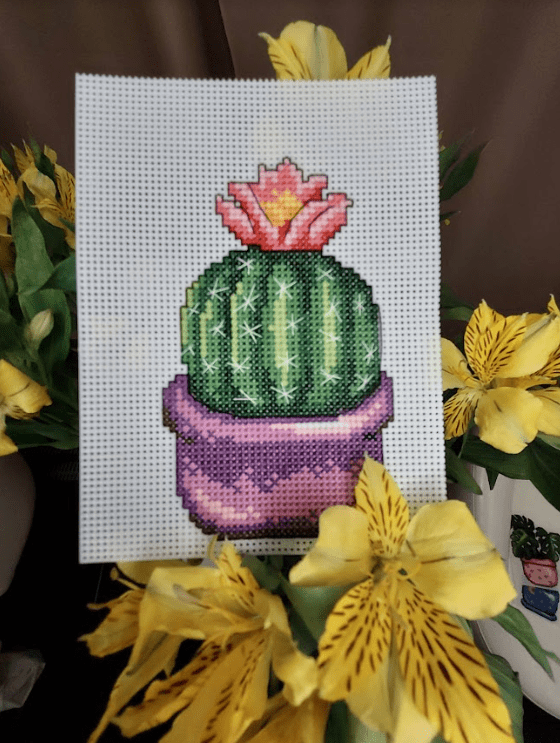 Cactus 108CS Counted Cross-Stitch Kit featuring plastic canvas, colorful threads, and a needle for crafting.