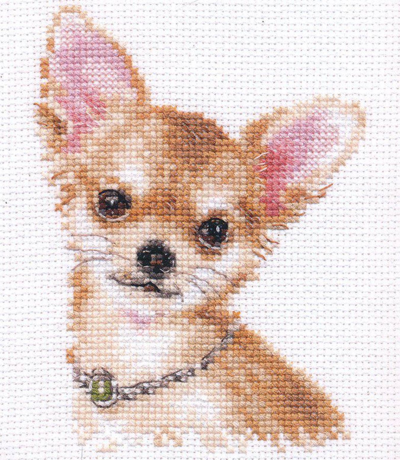 Chihuahua 1-30 Cross-stitch kit featuring white Aida fabric, colorful threads, and an embroidery needle.