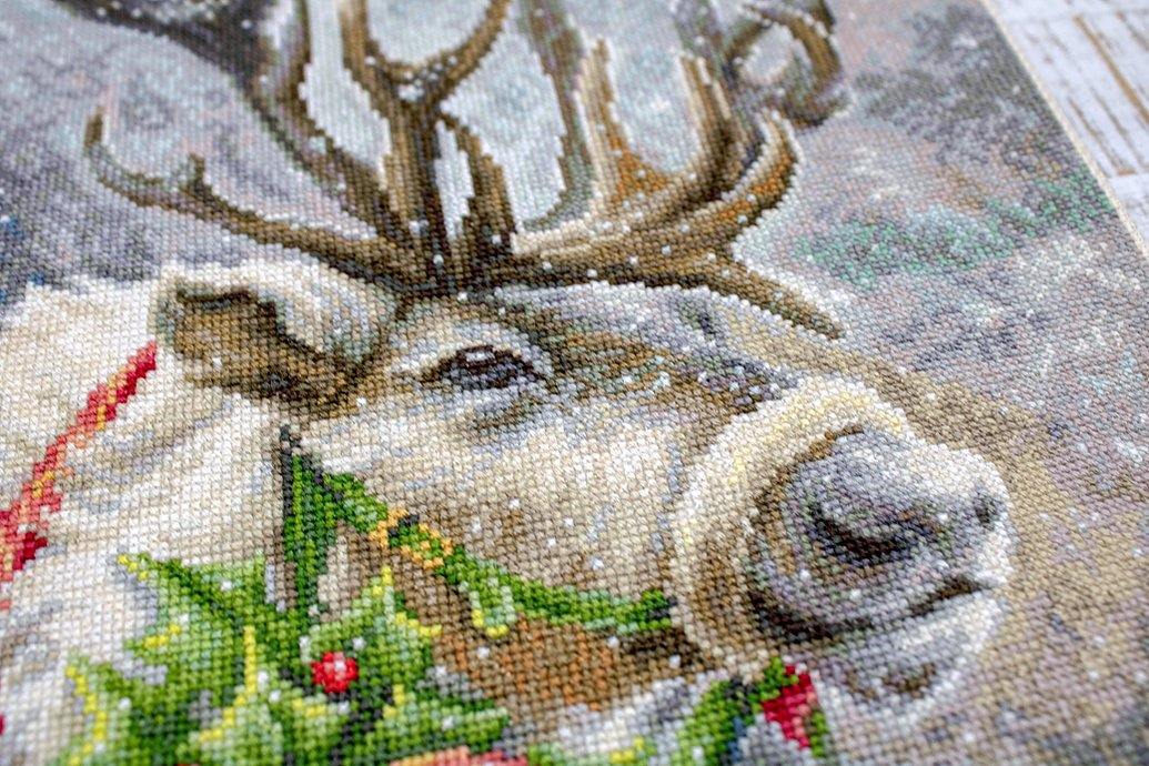 Christmas Deer B598L Counted Cross-Stitch Kit featuring Aida canvas, colorful threads, and a needle for festive crafting.
