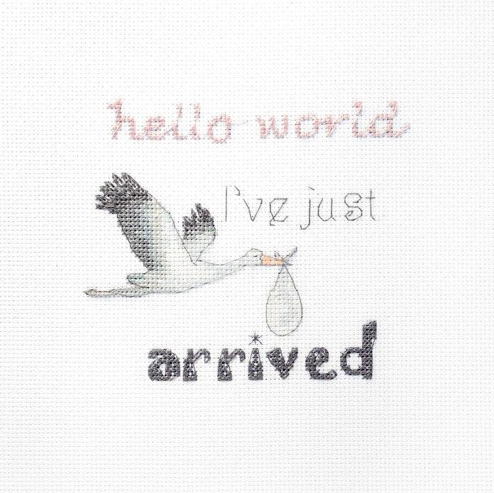 Counted cross stitch kit for newborns featuring canvas, threads, needle, and instructions.