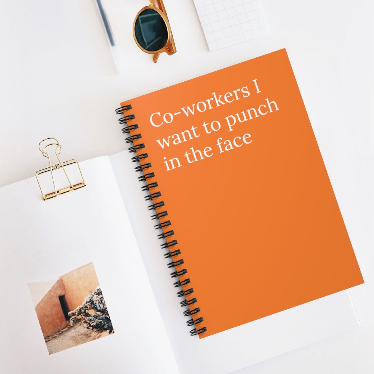 A spiral notebook with a humorous cover reading 'Co-Workers I Want to Punch in the Face', featuring ruled line pages inside.