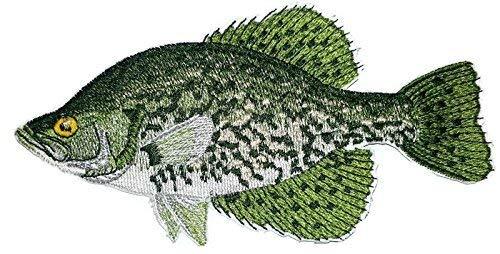 Crappie Fish embroidered patch, 6 inches by 5 inches, showcasing detailed stitching and vibrant colors on a cotton base.