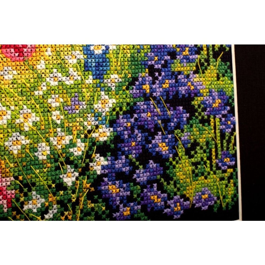 Delphinium and Cosmos M626 Counted Cross Stitch Kit with navy Aida fabric, DMC threads, and included tools.